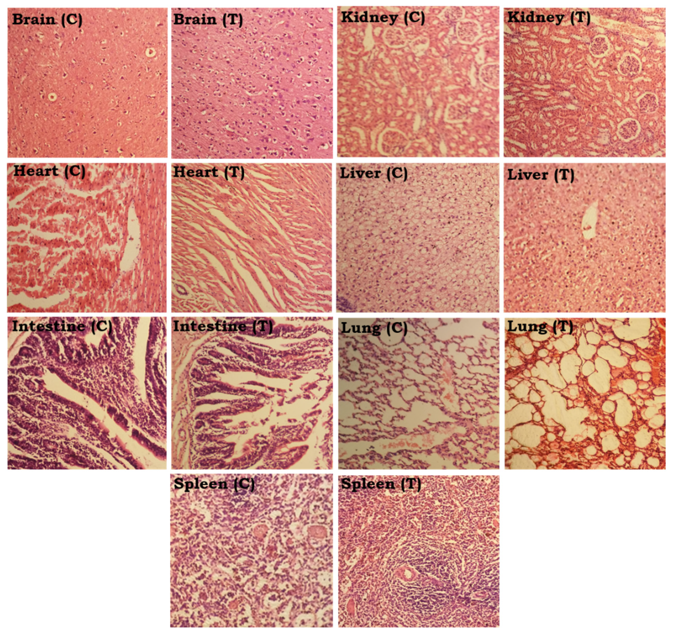Polymers 15 00311 g013