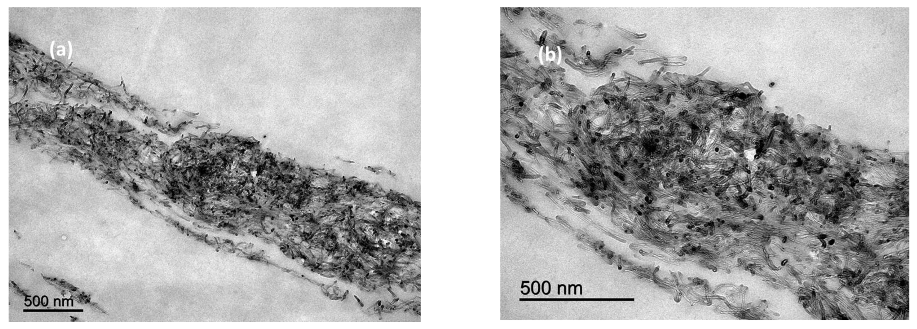 Polymers 15 00314 g004 Polymers 15 00314 g004