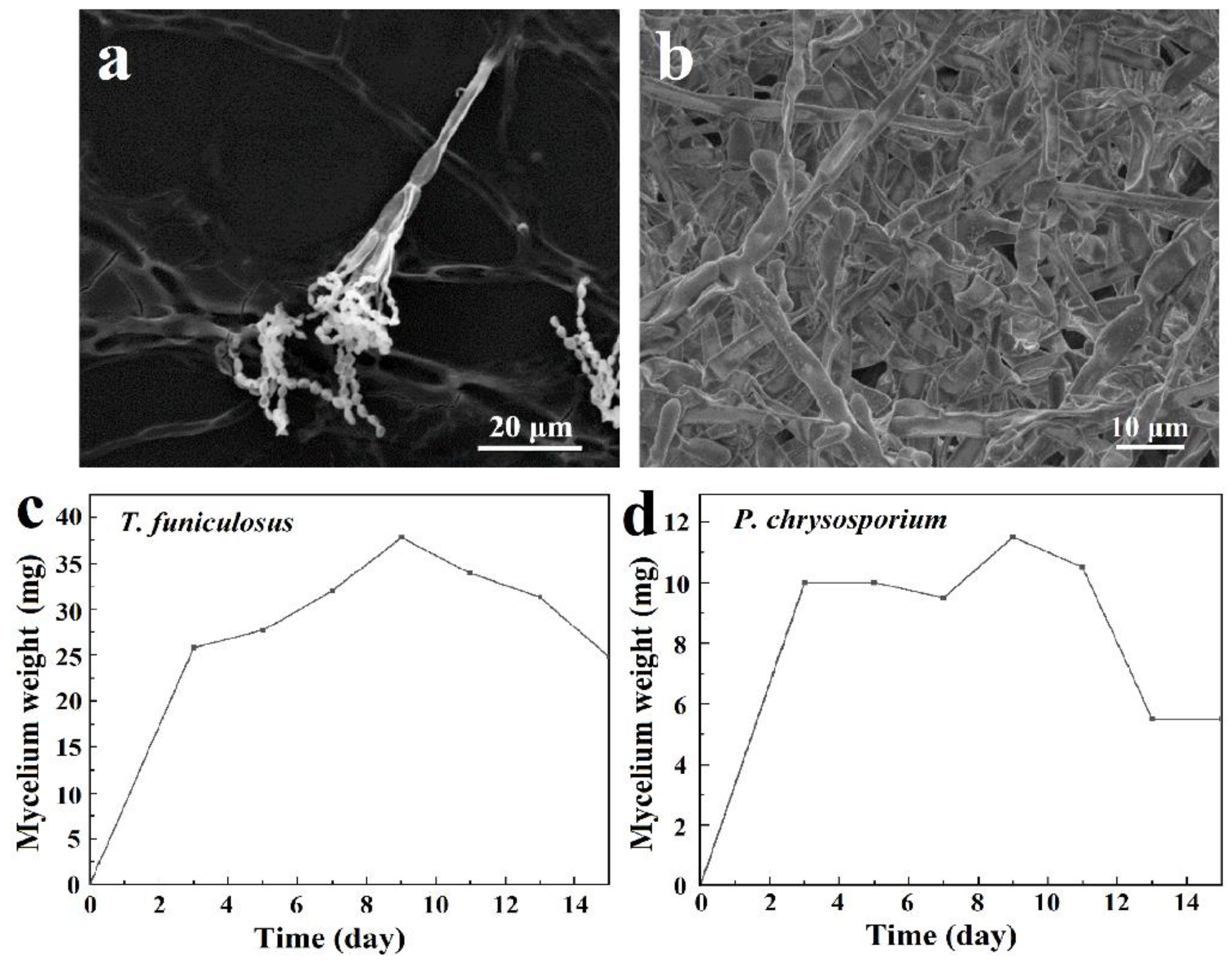 Polymers 15 00328 g002