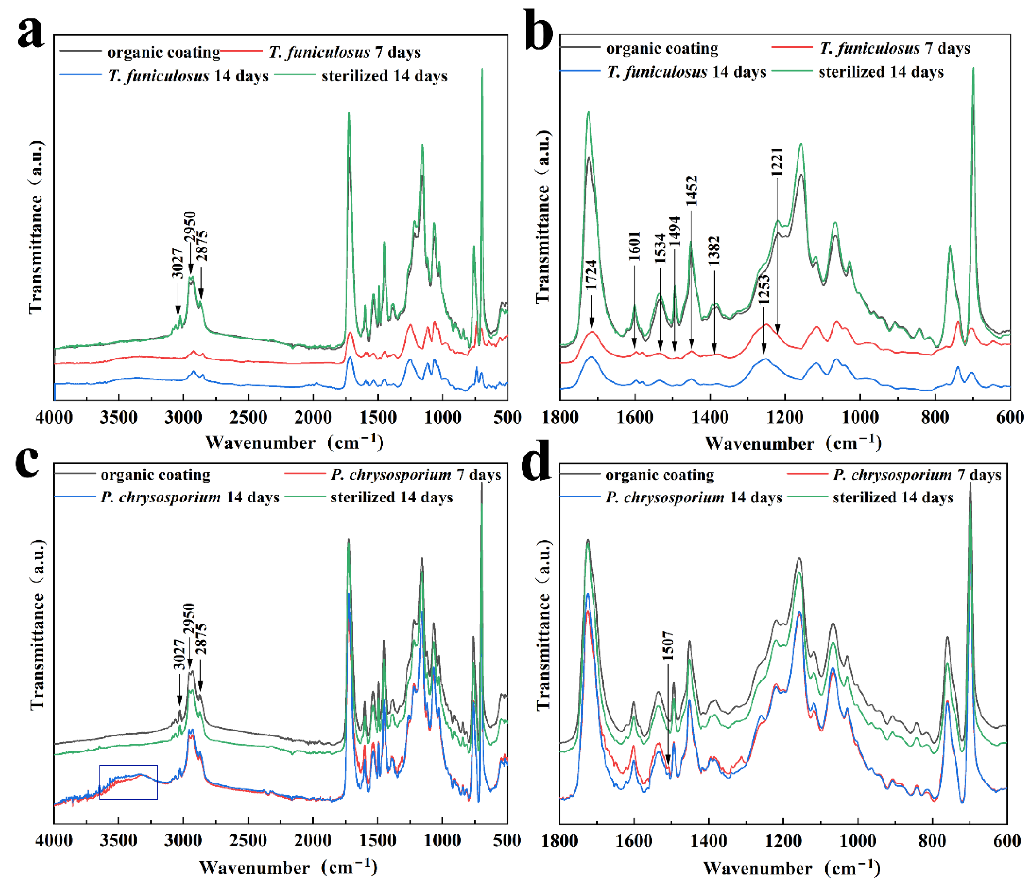 Polymers 15 00328 g005