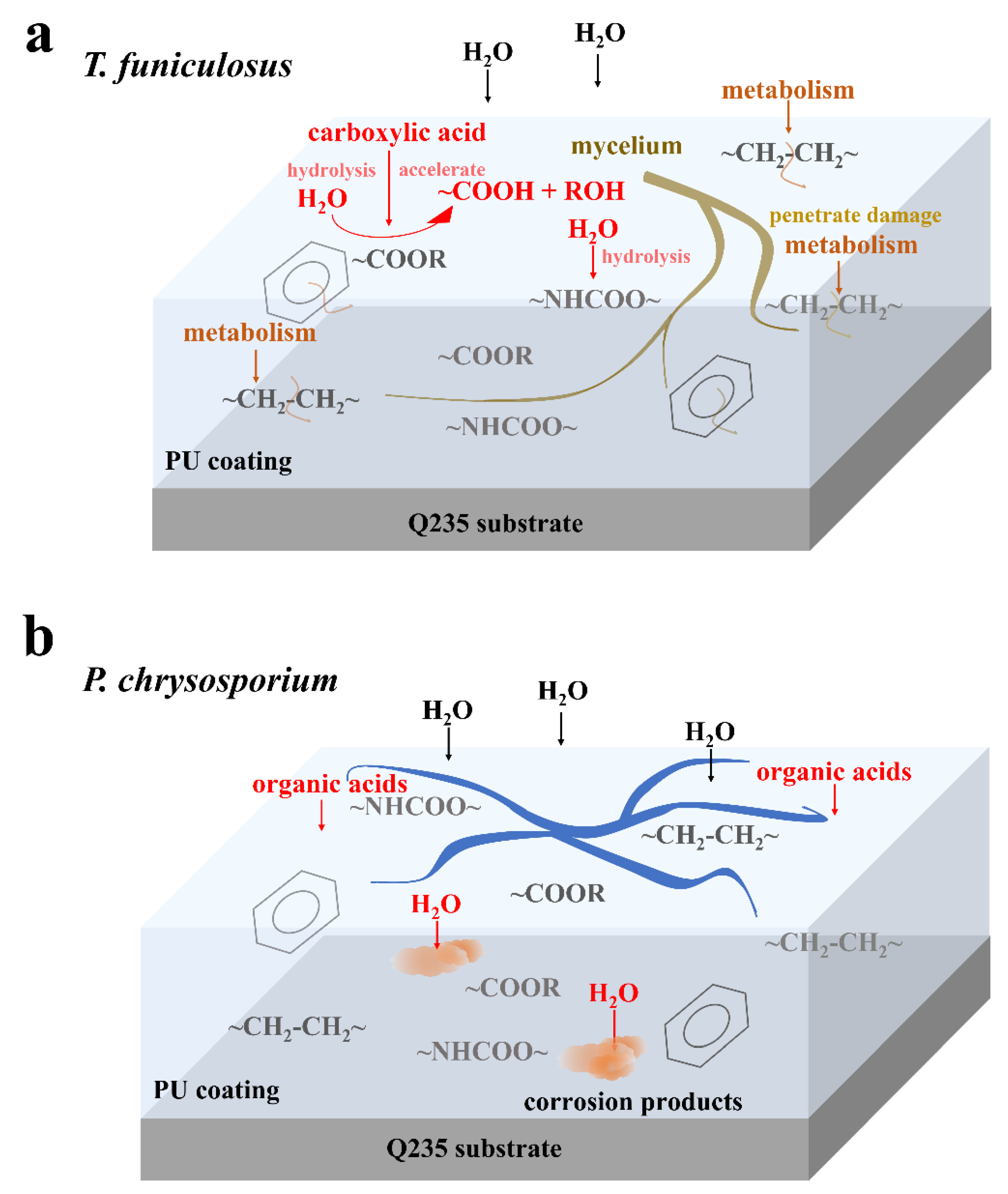 Polymers 15 00328 g007