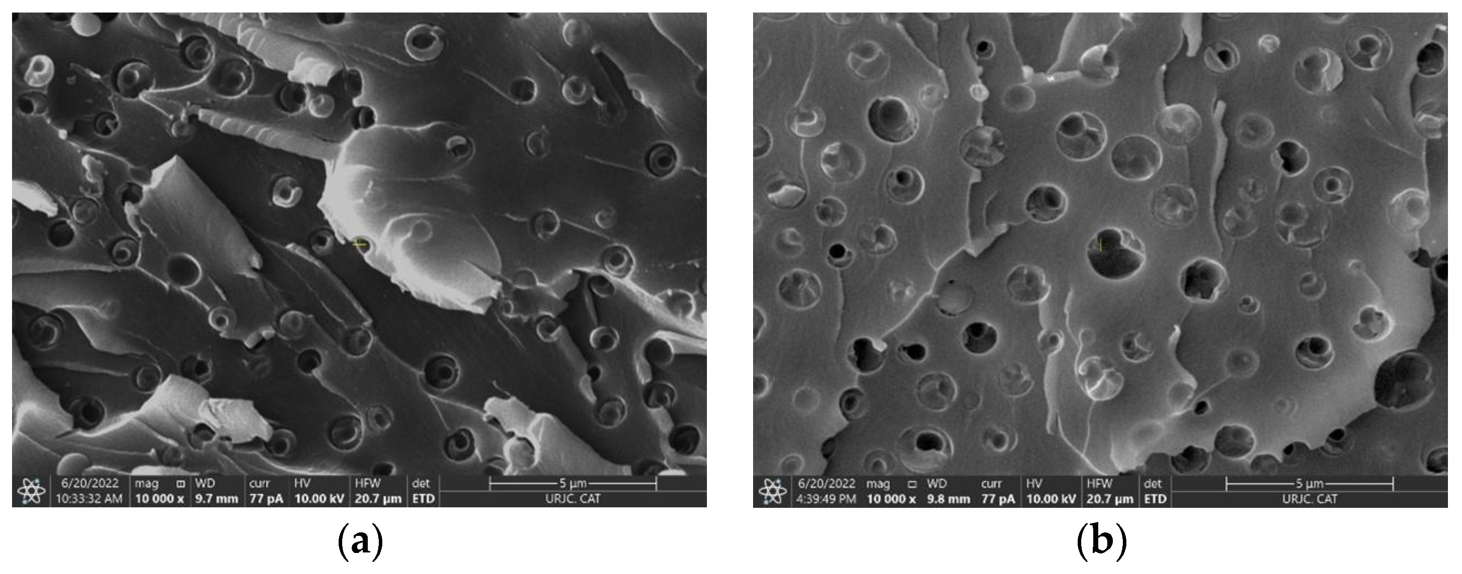 Polymers 15 00336 g005a Polymers 15 00336 g005a