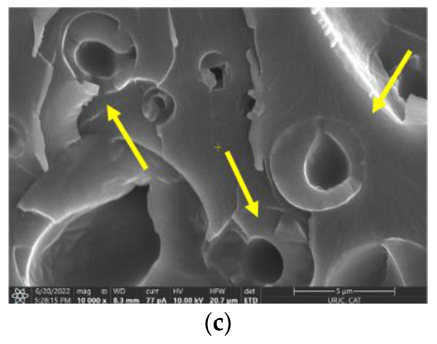 Polymers 15 00336 g005b Polymers 15 00336 g005b