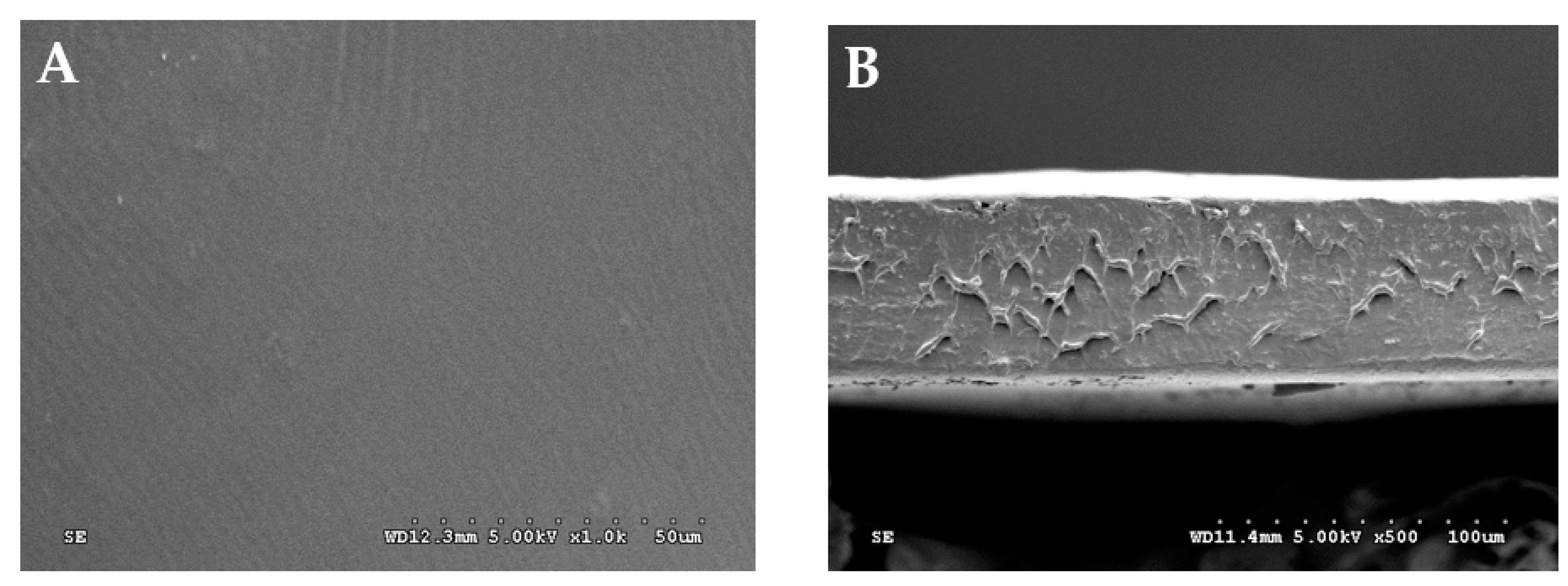 Polymers 15 00338 g006 Polymers 15 00338 g006