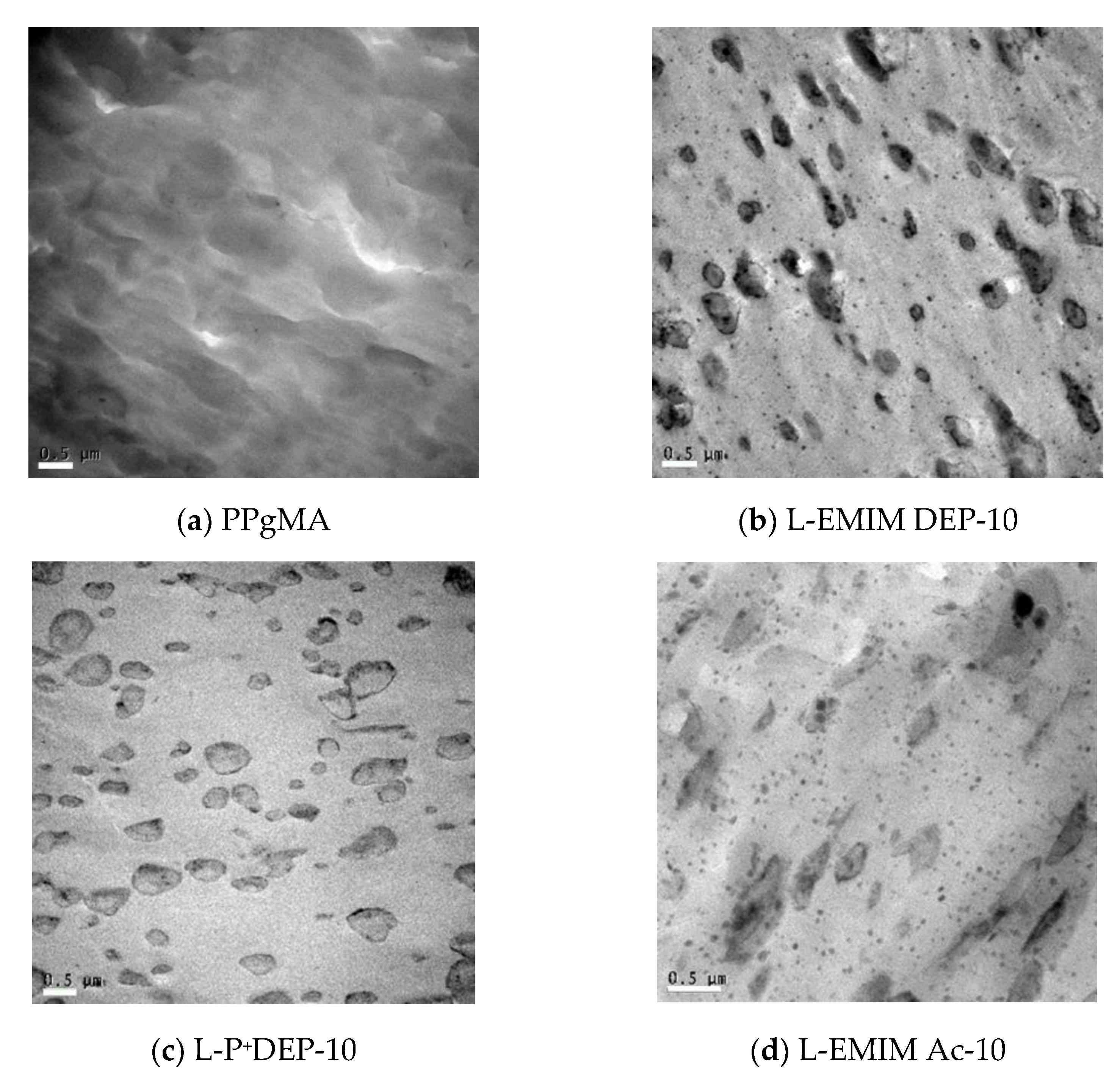 Polymers 15 00370 g002