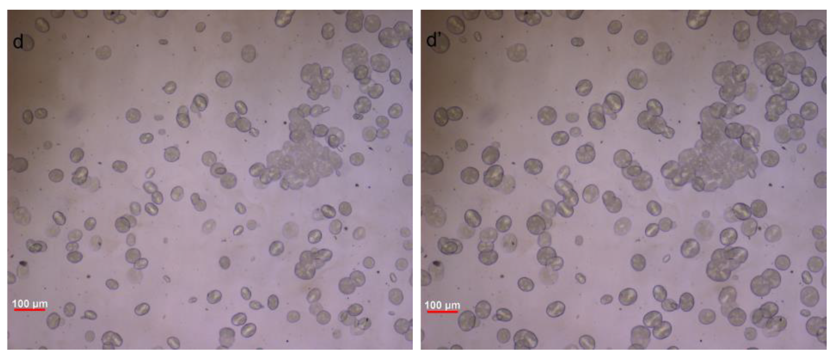 Polymers 15 00370 g008b