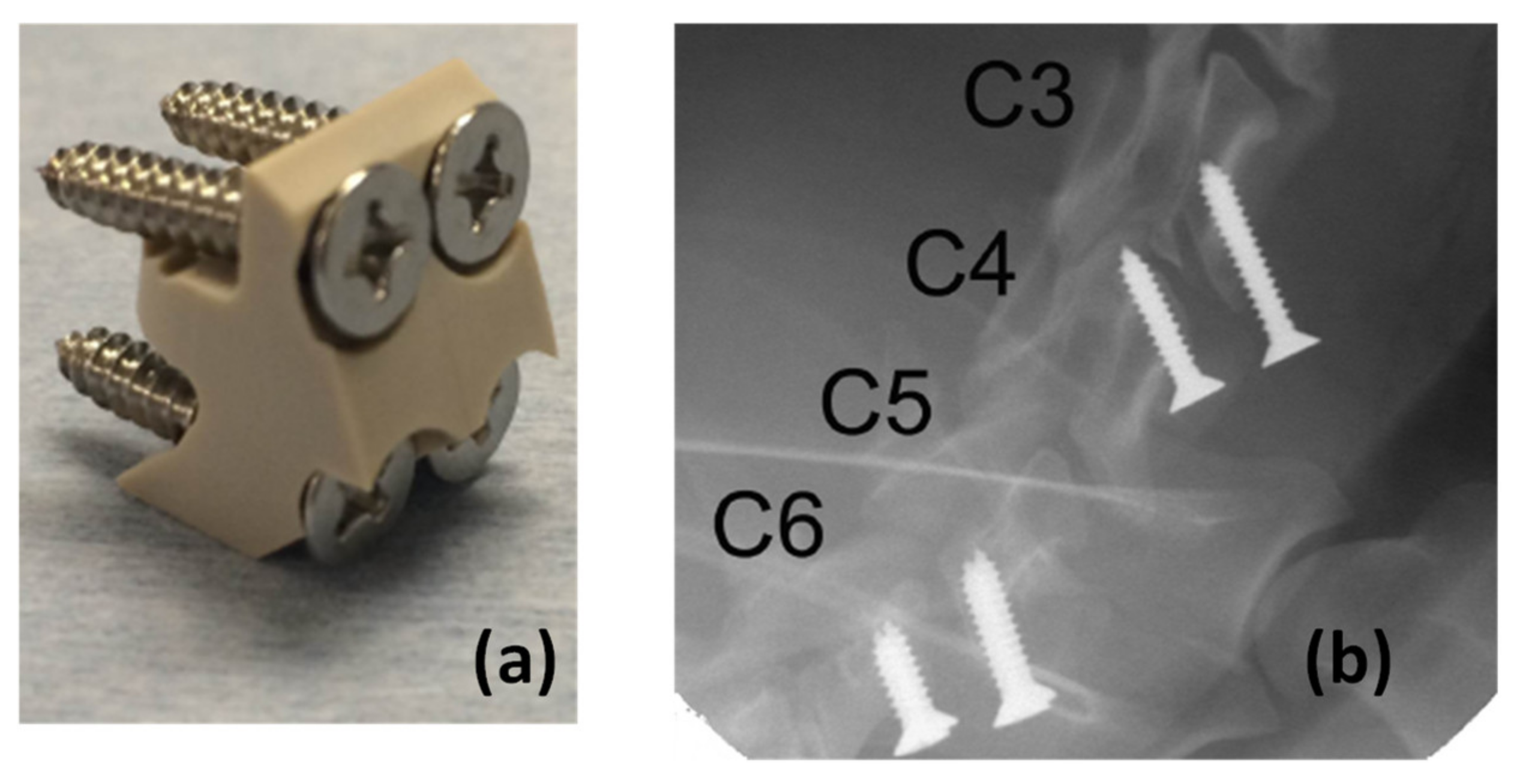 Polymers 15 00373 g006