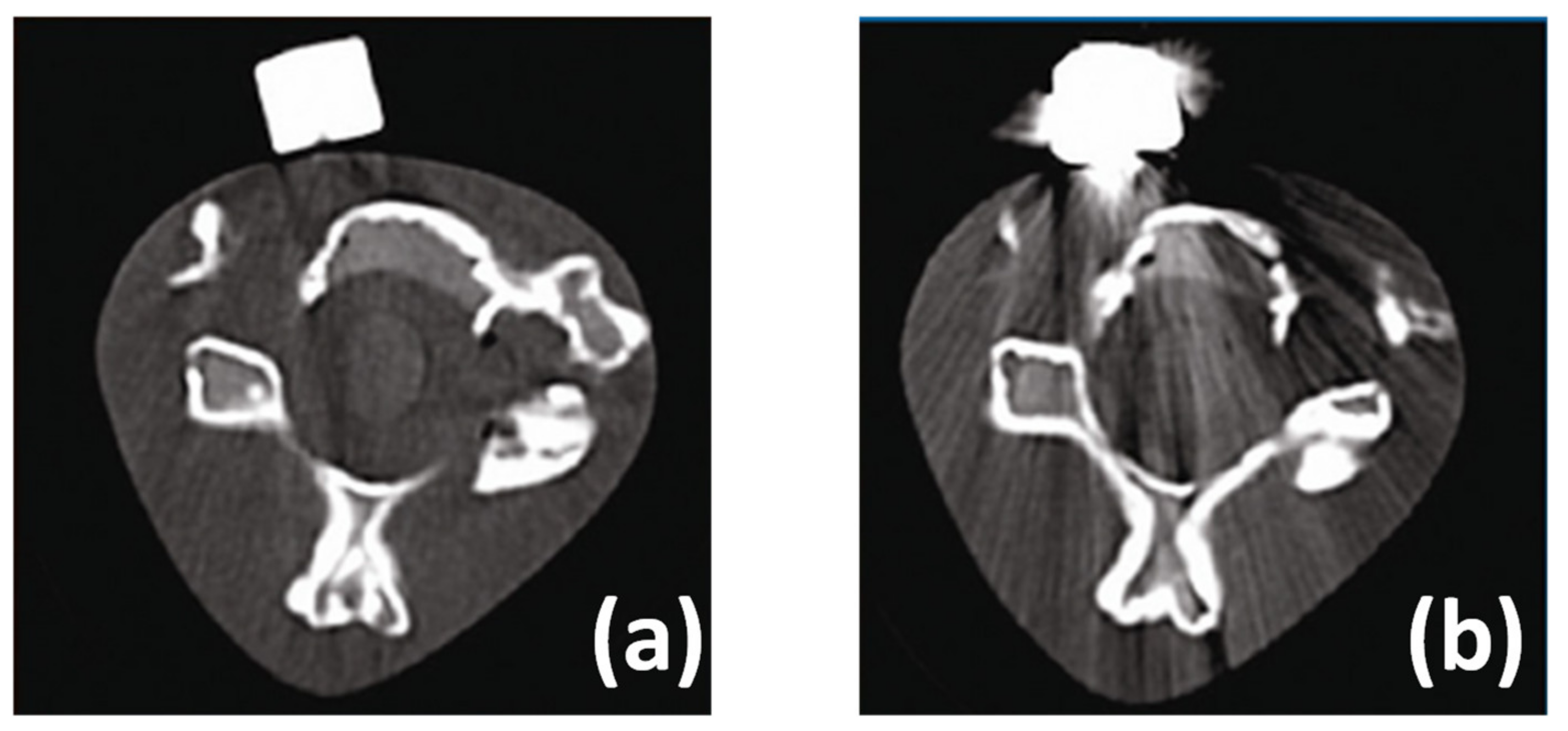 Polymers 15 00373 g007