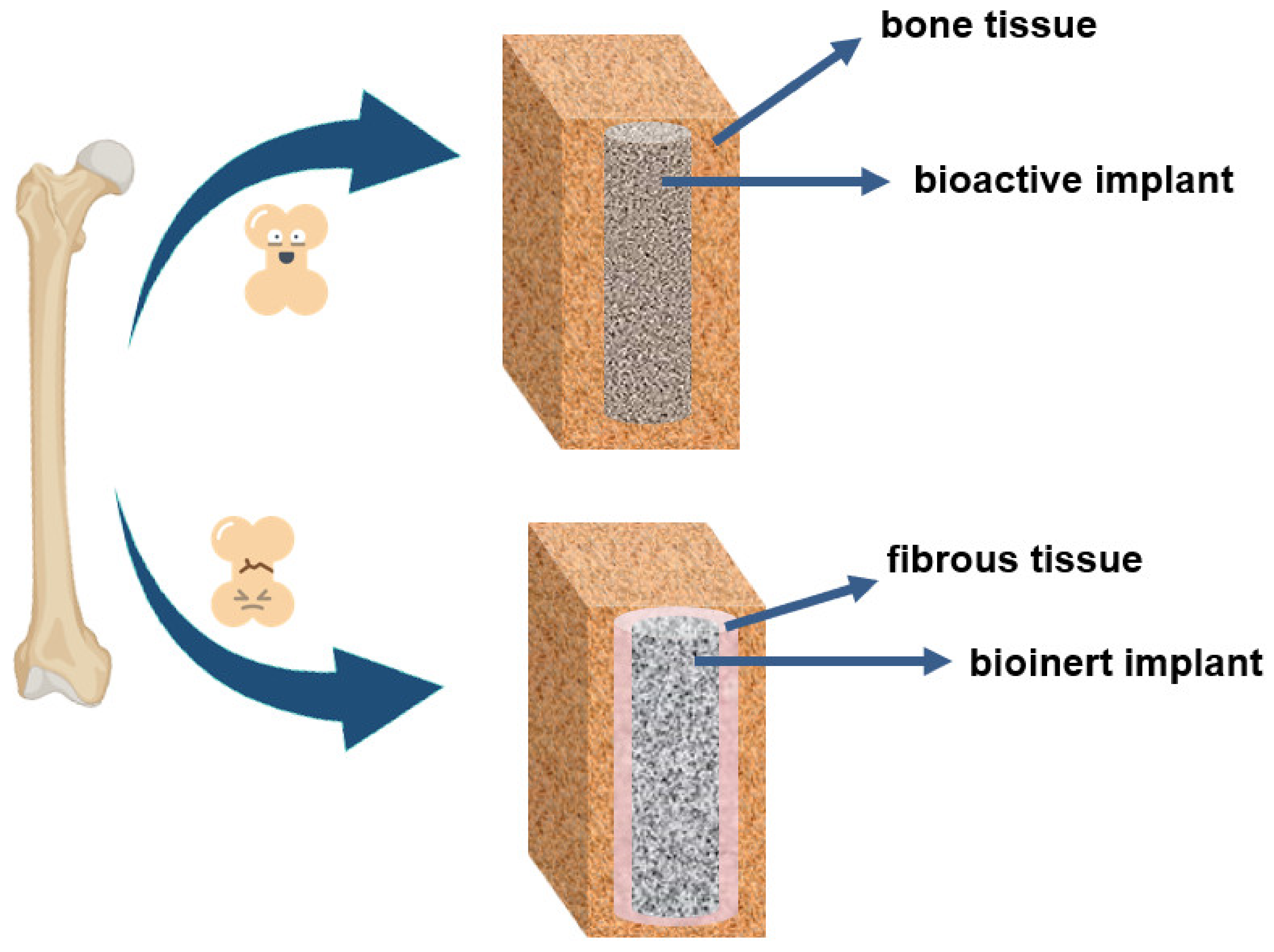 Polymers 15 00373 g009
