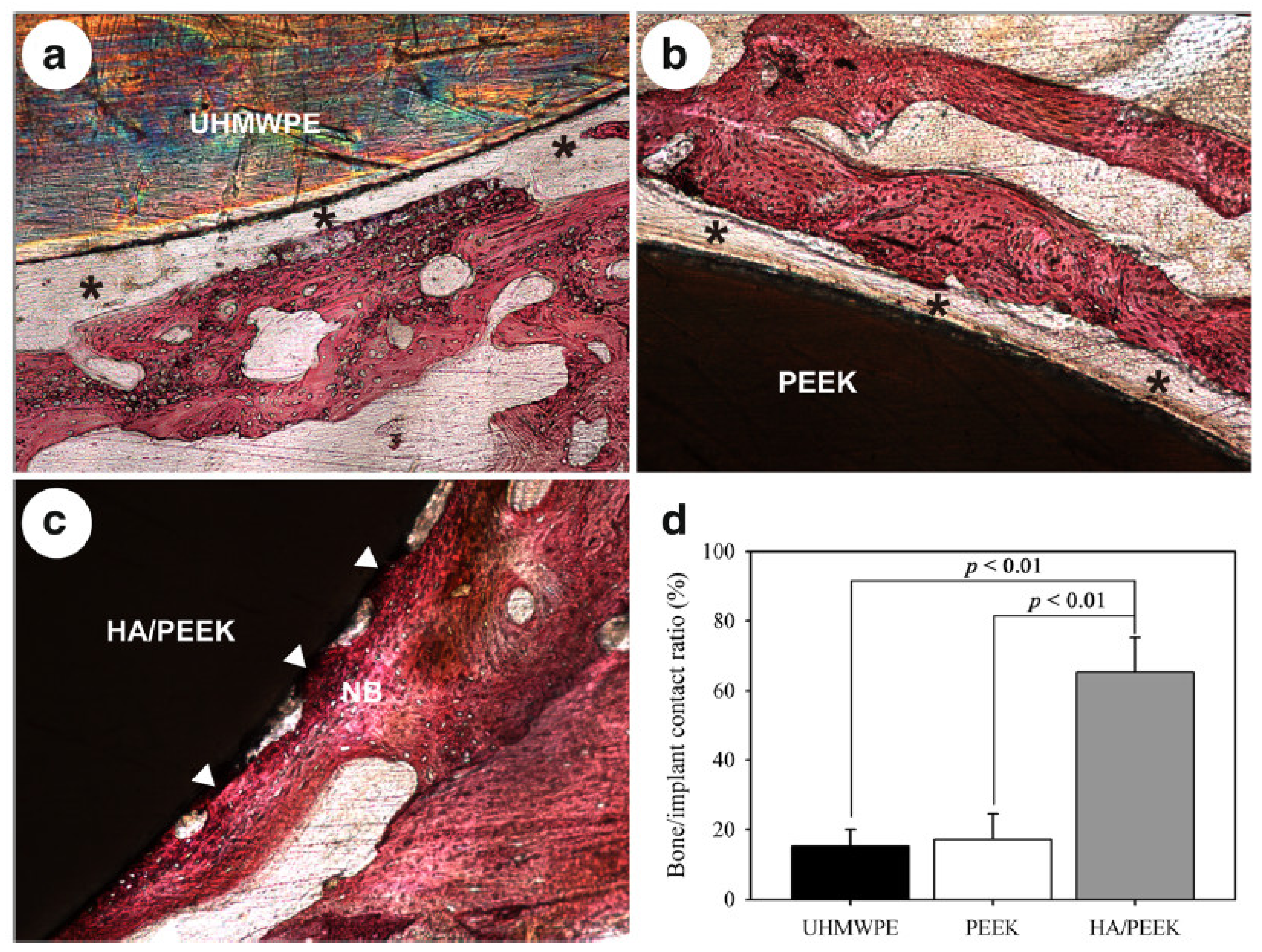 Polymers 15 00373 g011