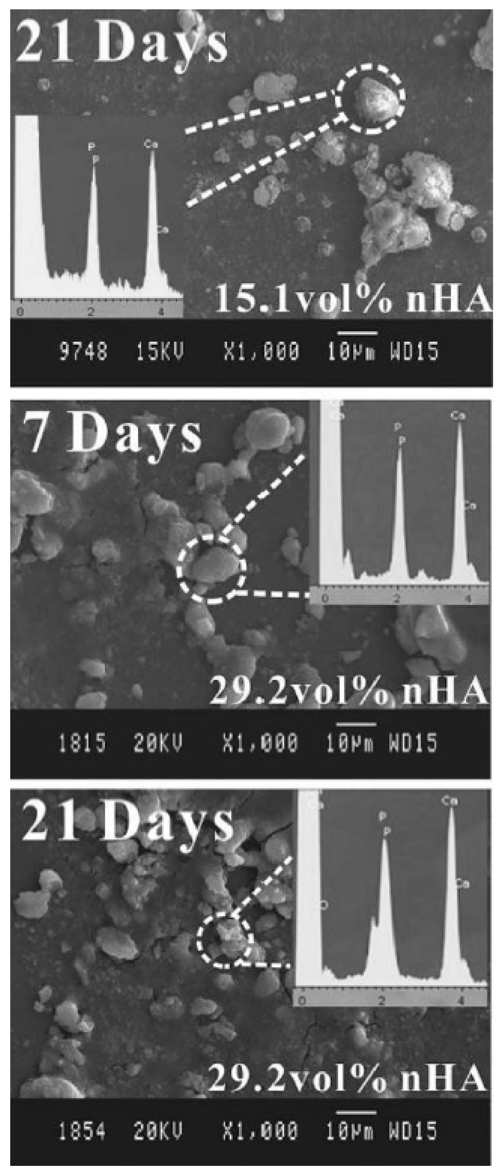 Polymers 15 00373 g012