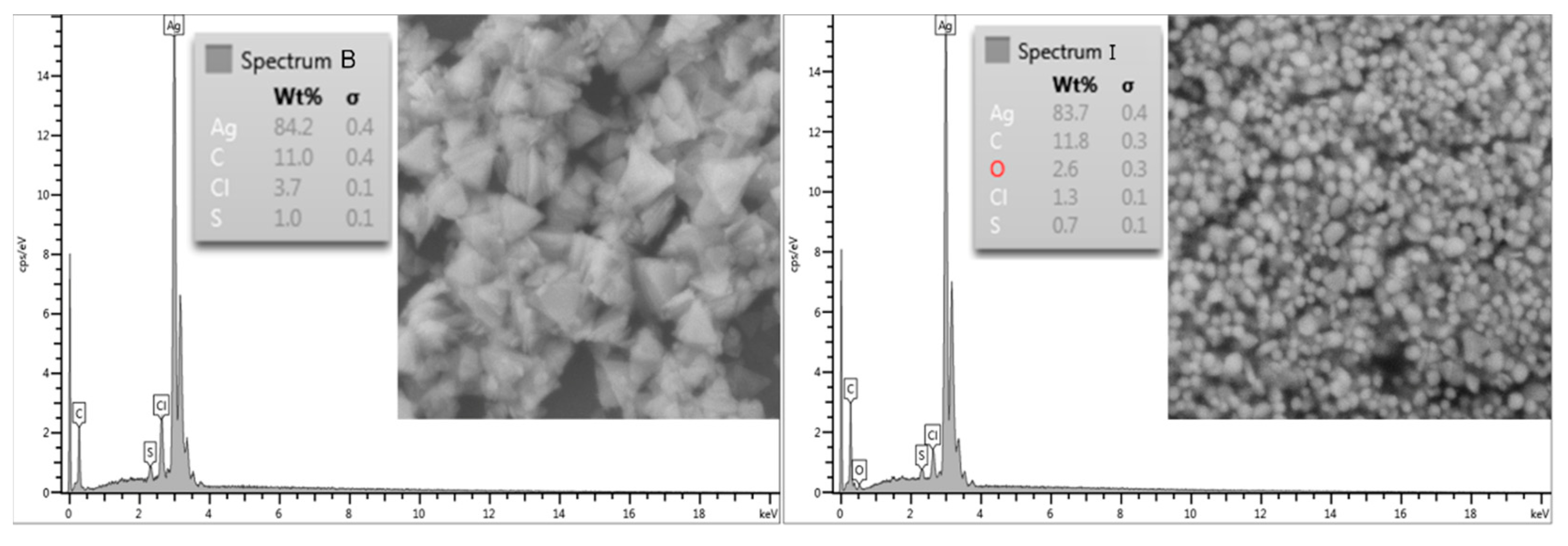 Polymers 15 00379 g005