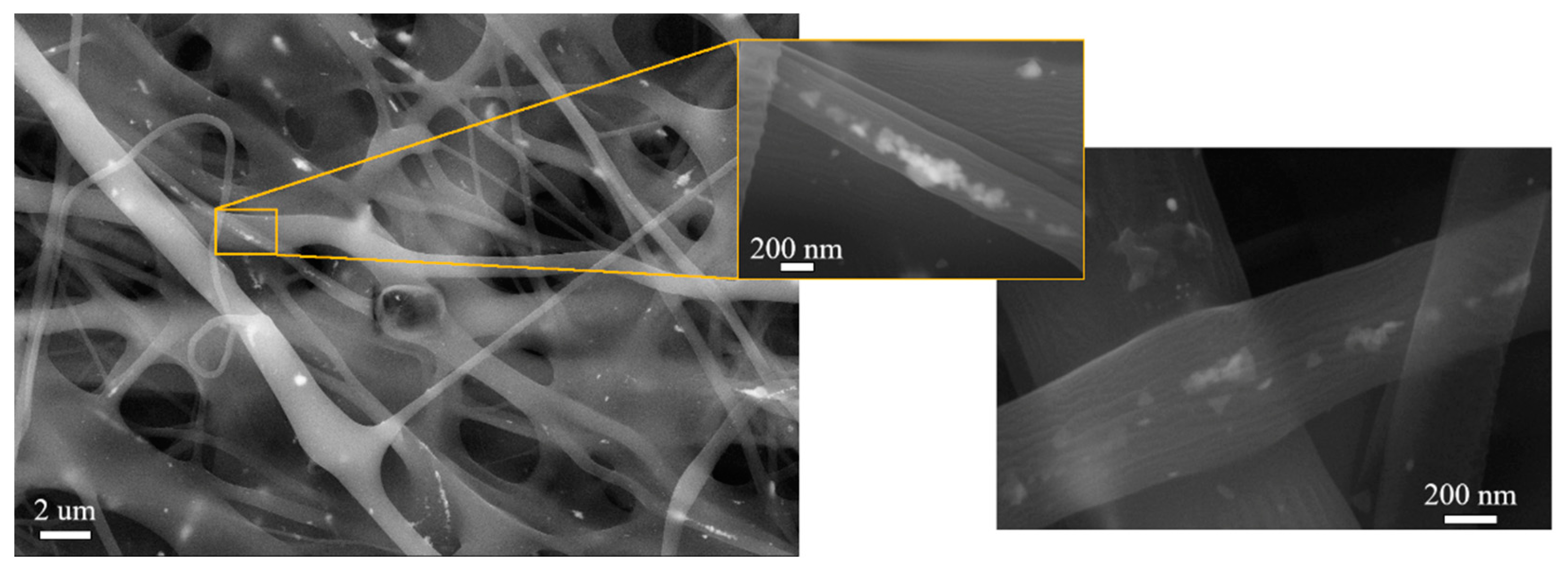 Polymers 15 00379 g008