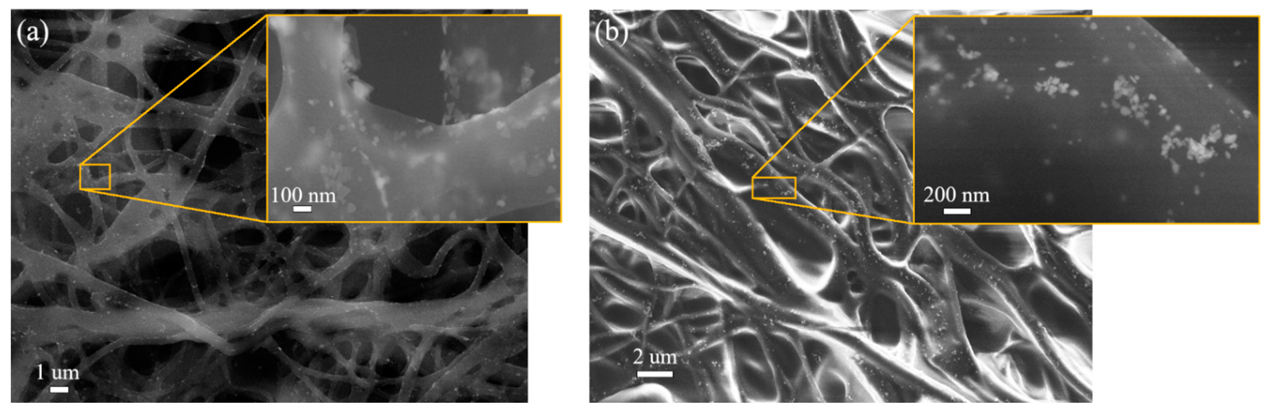Polymers 15 00379 g009