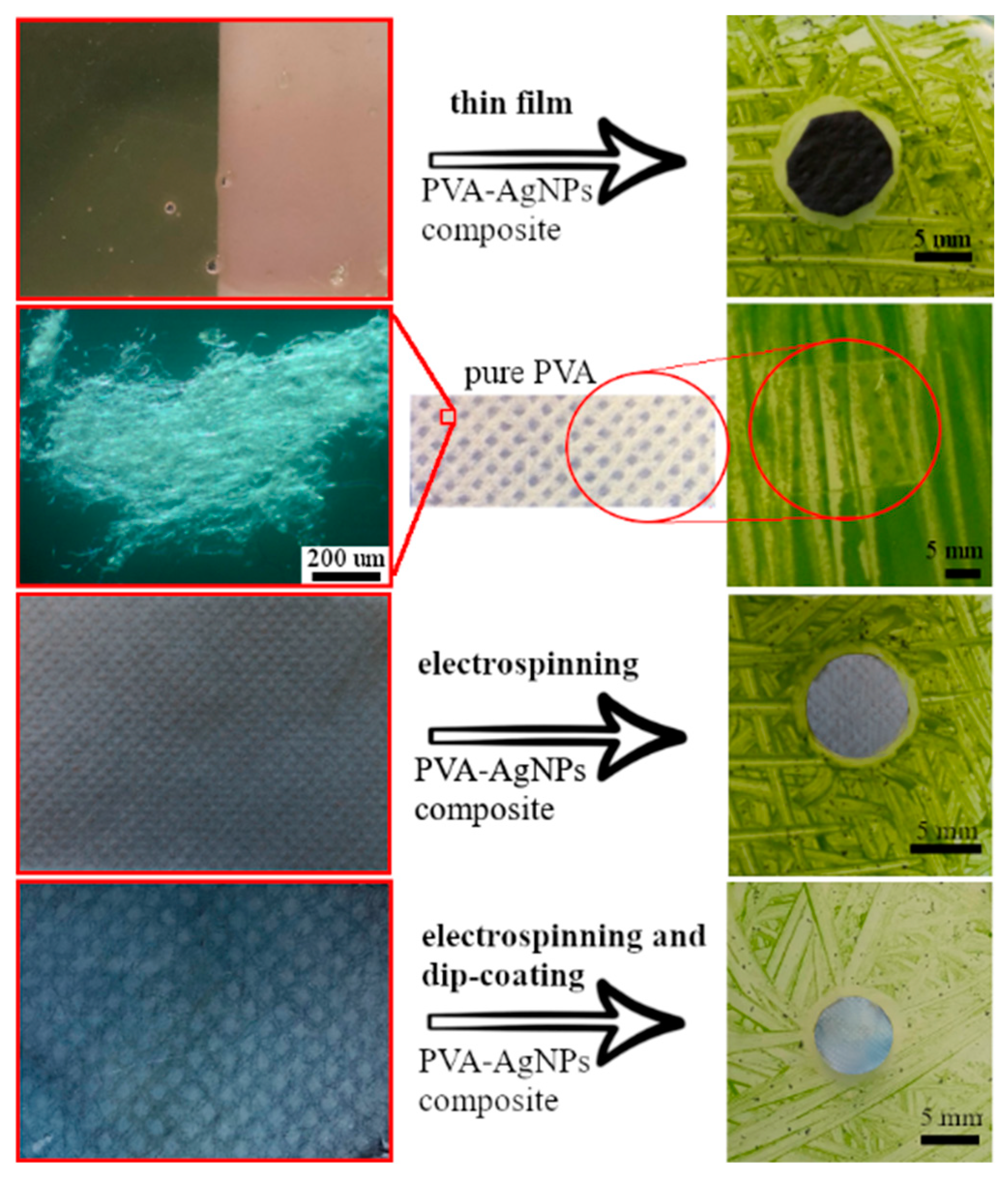 Polymers 15 00379 g010