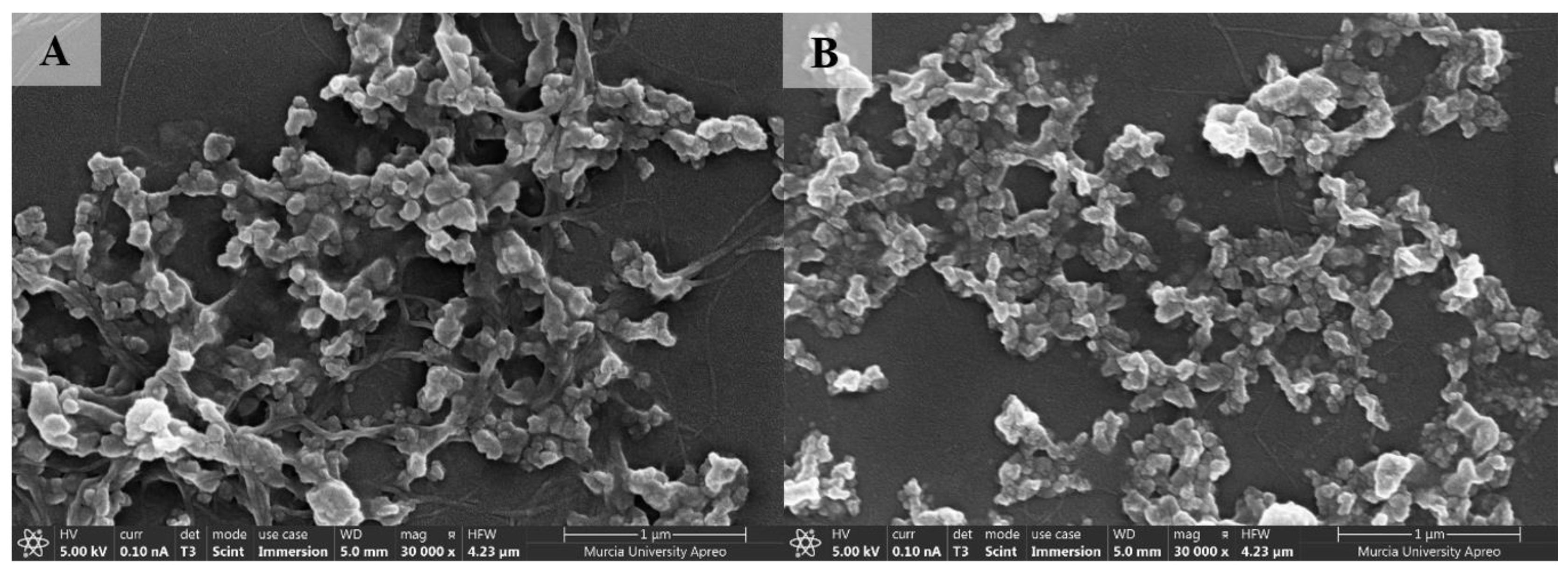 Polymers 15 00382 g003a Polymers 15 00382 g003a