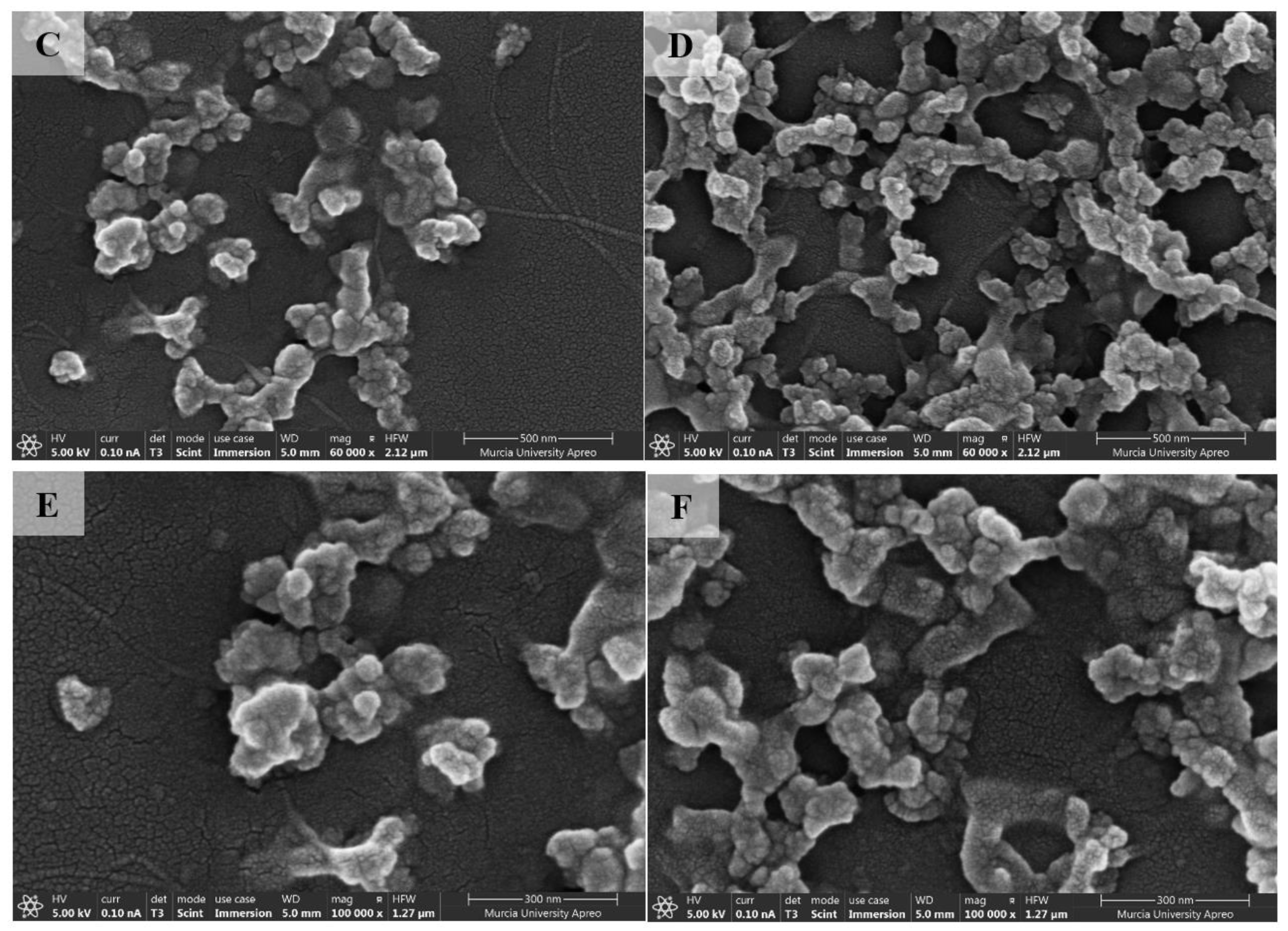 Polymers 15 00382 g003b Polymers 15 00382 g003b