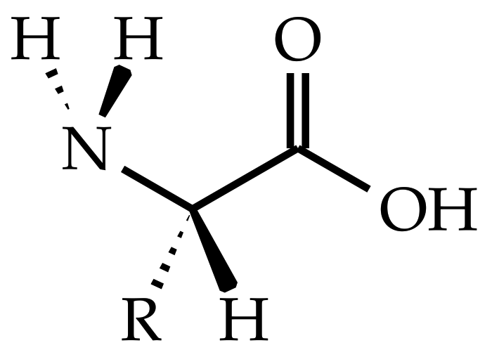 Polymers 15 00385 g001