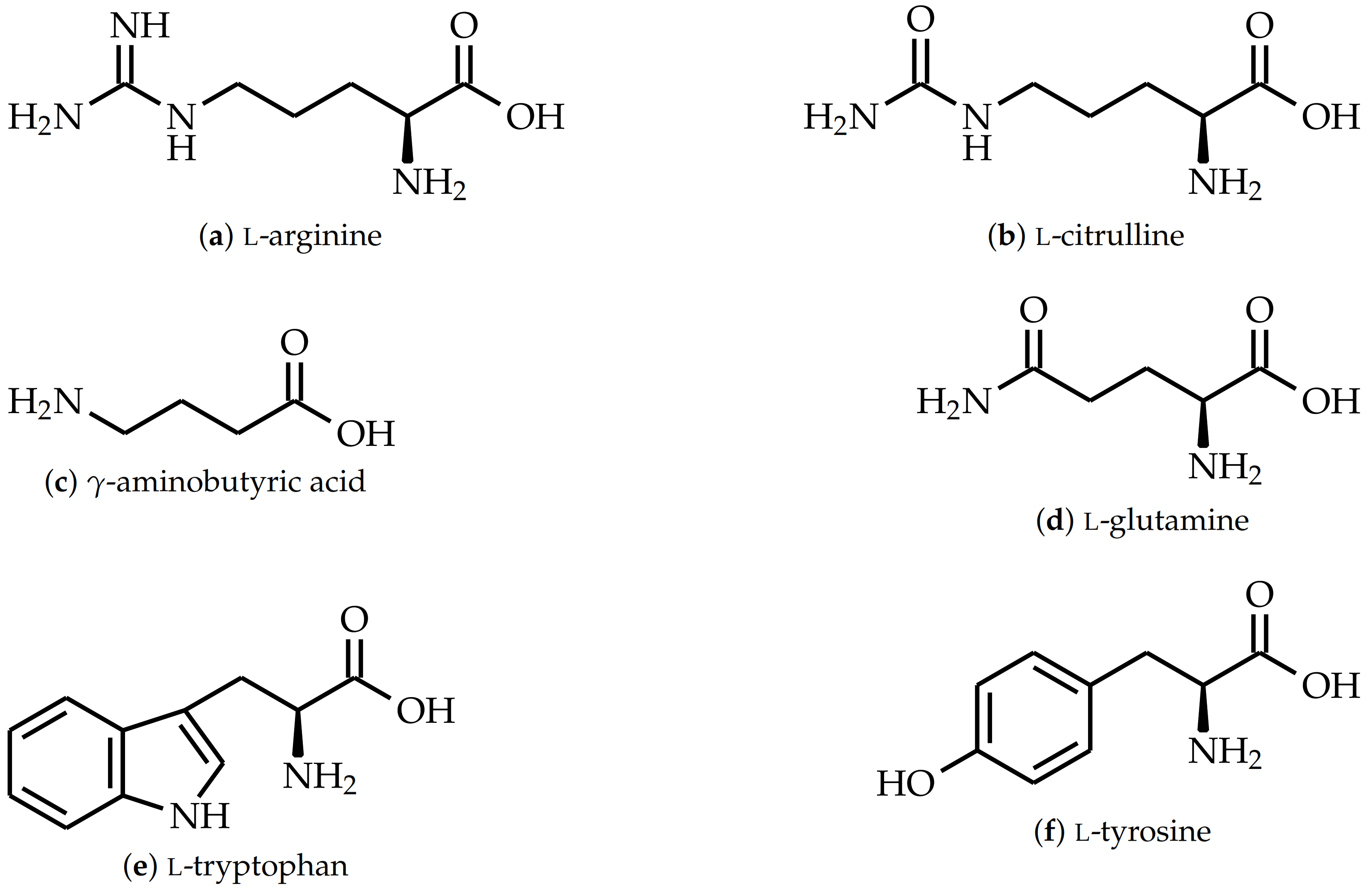 Polymers 15 00385 g002