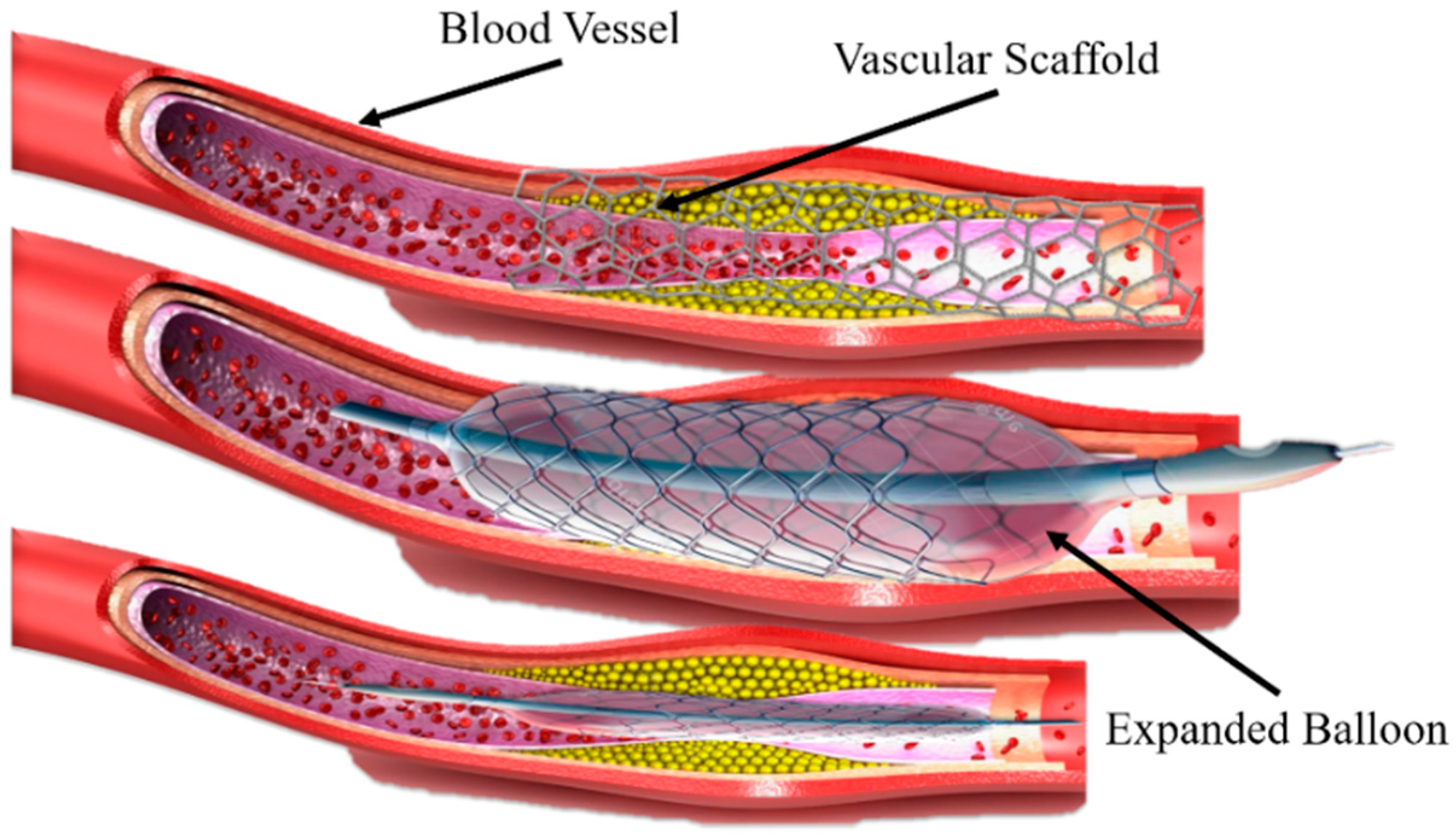 Polymers 15 00390 g001