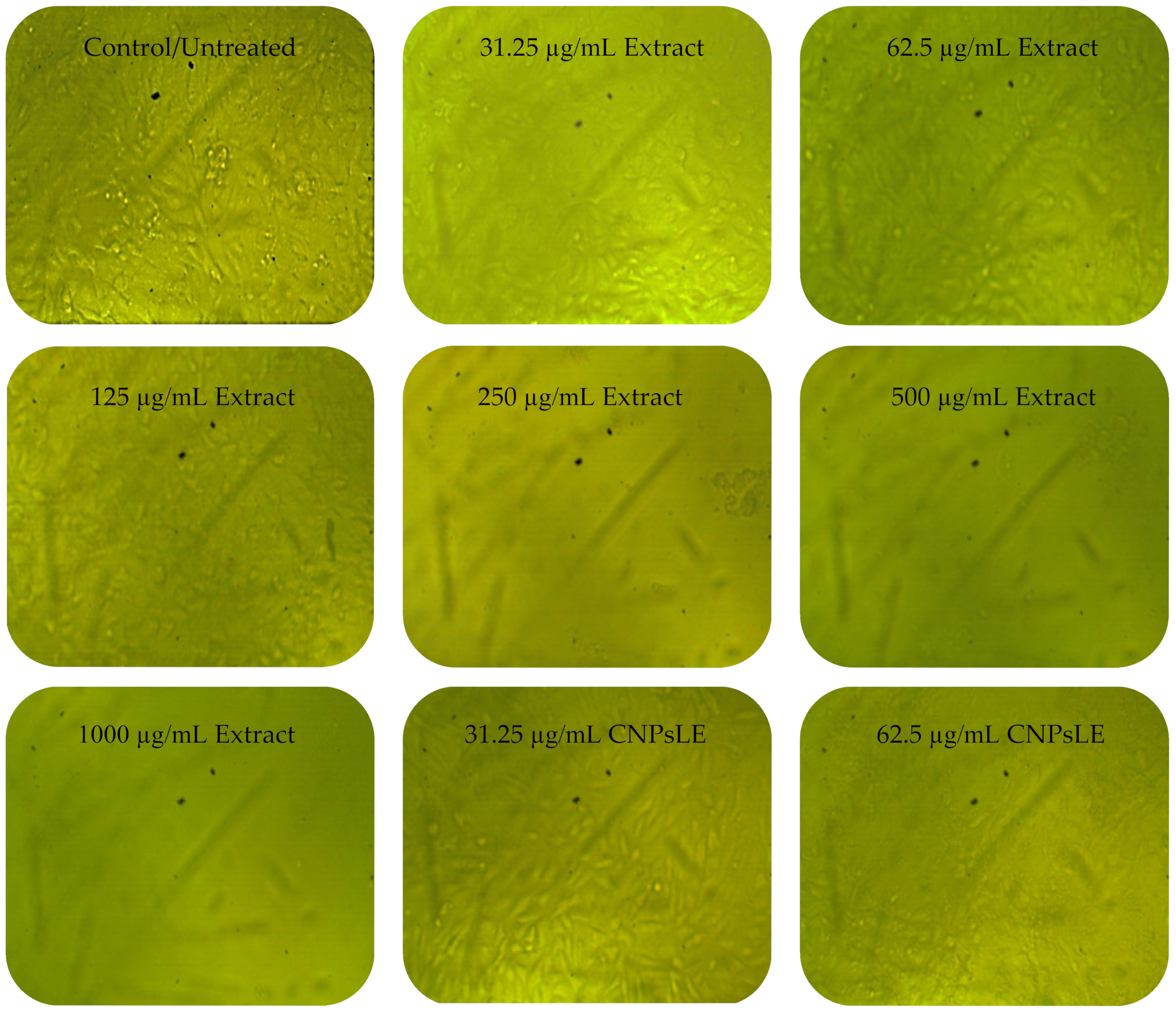 Polymers 15 00391 g006a