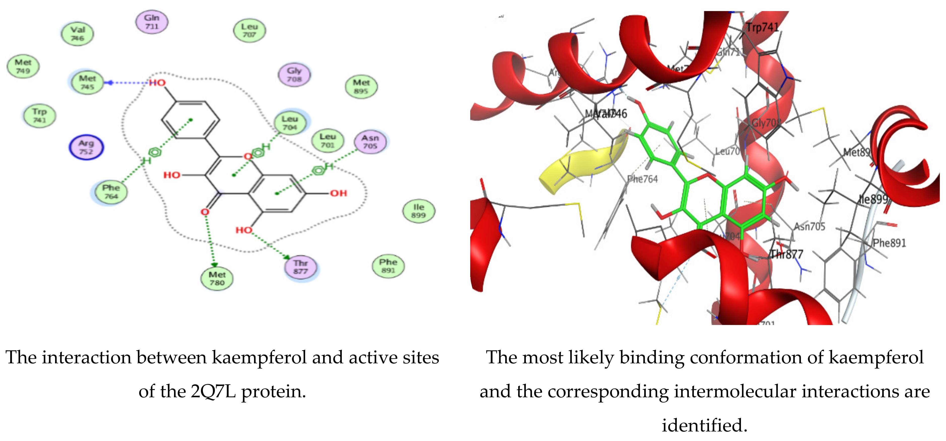 Polymers 15 00391 g008a