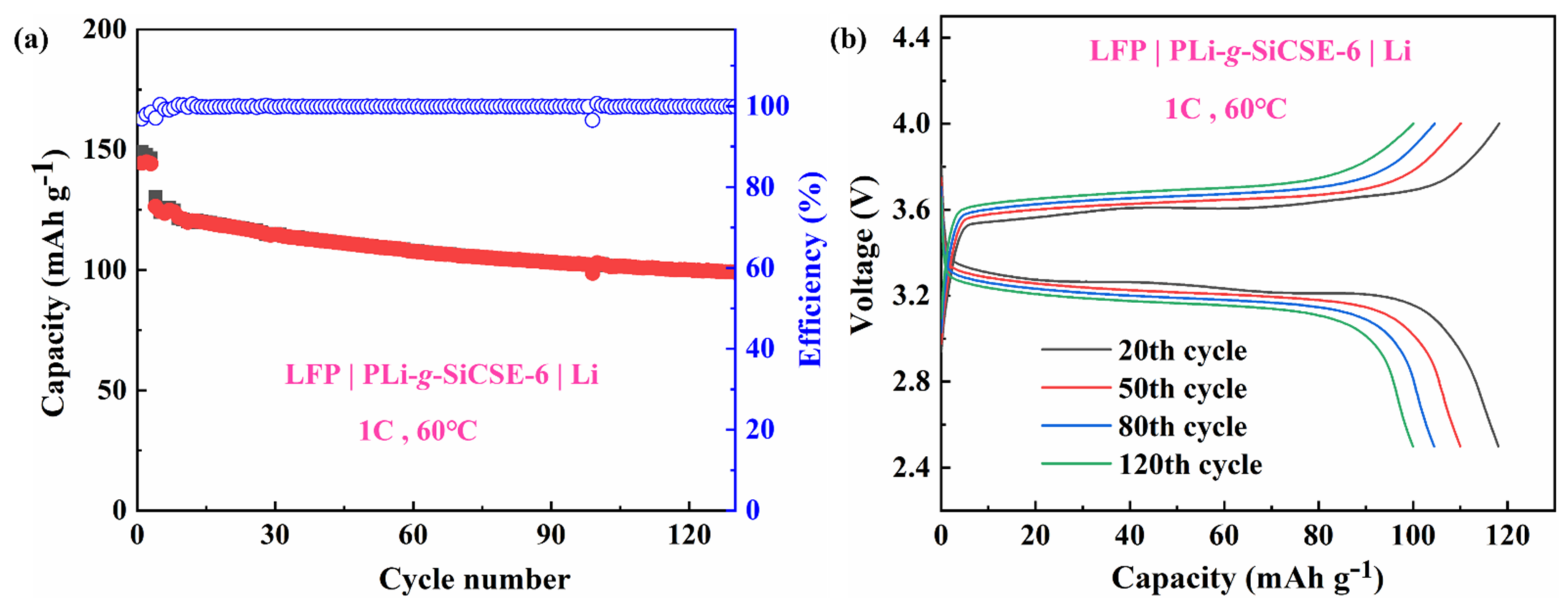 Polymers 15 00394 g013