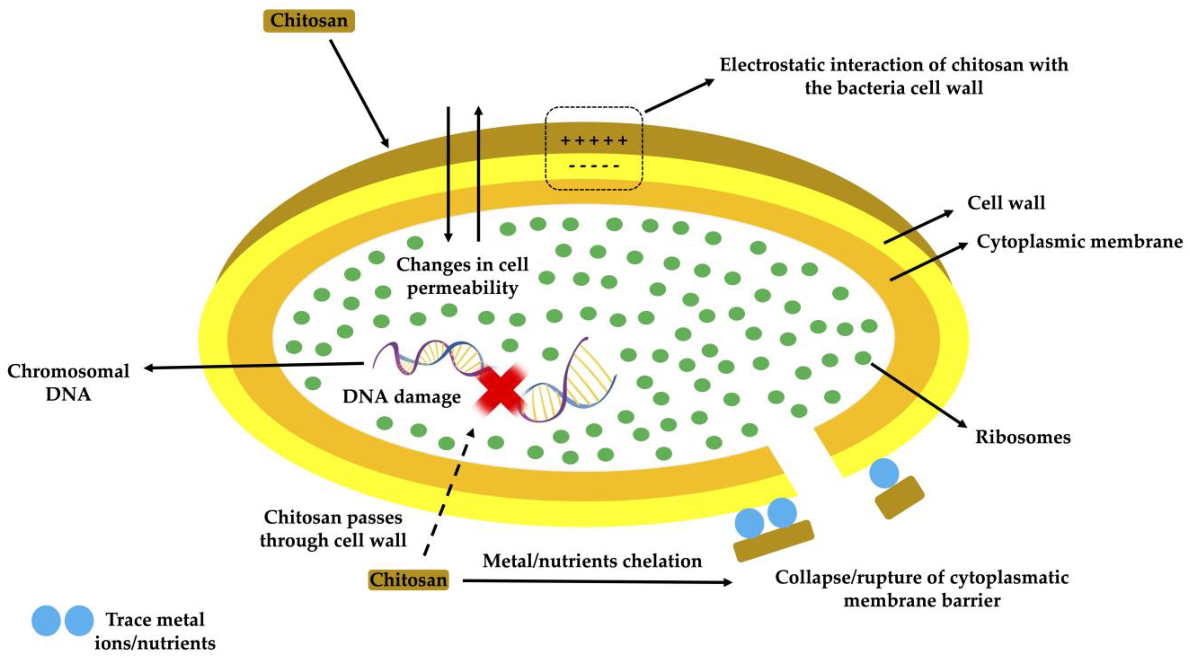 Polymers 15 00396 g002