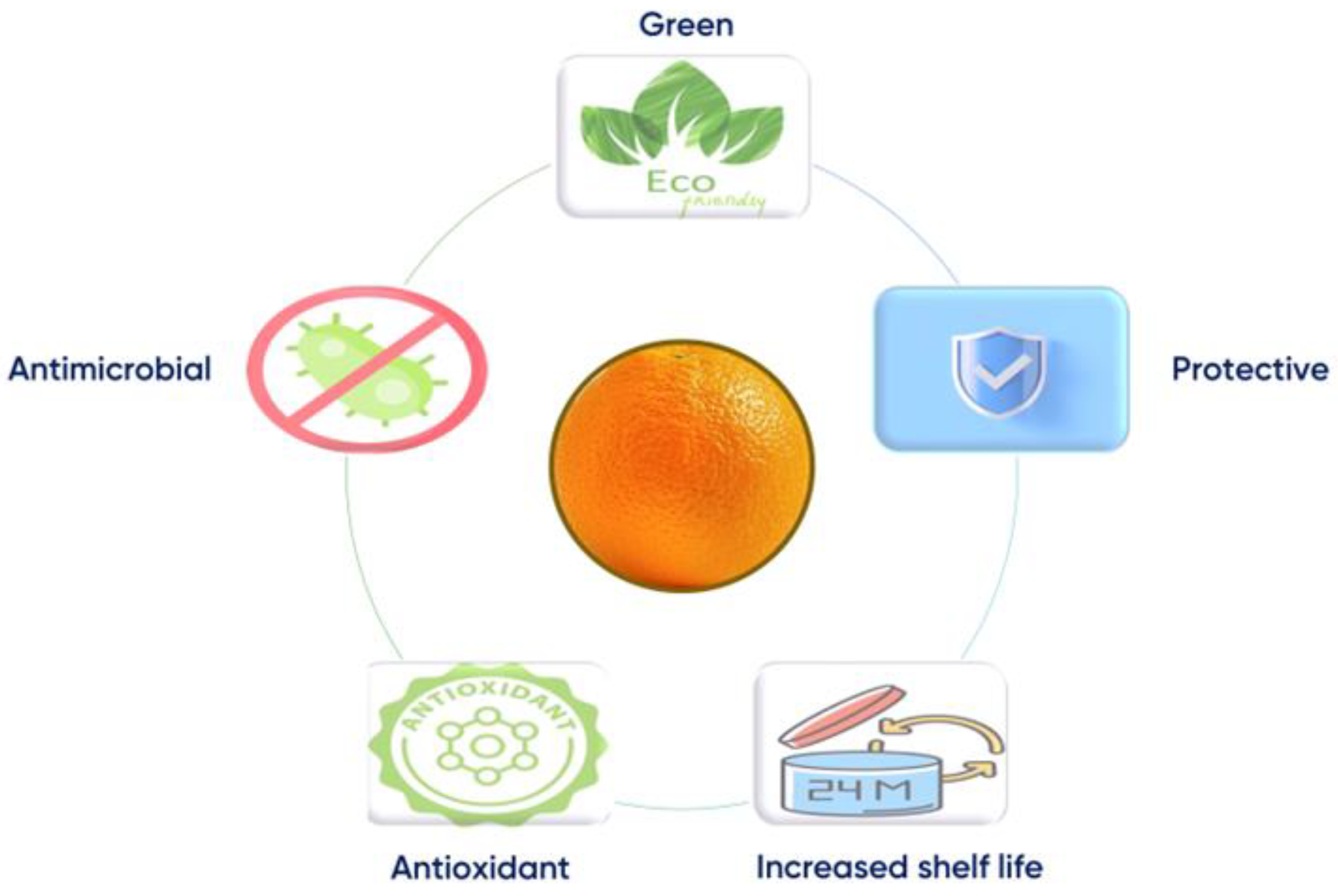 Polymers 15 00396 g004