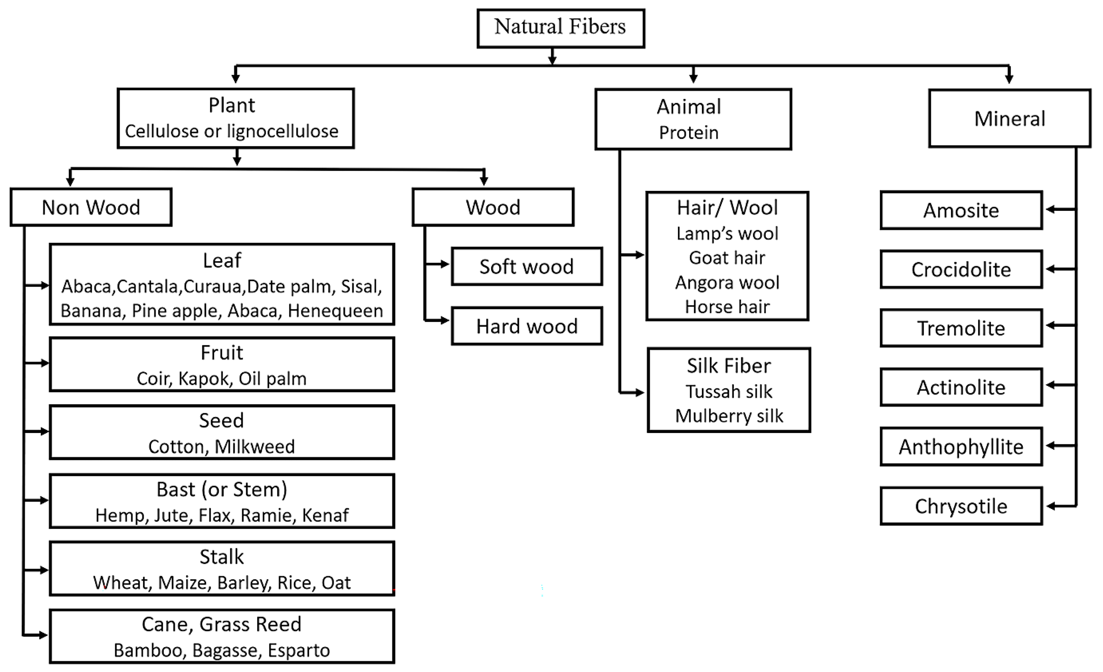 Polymers 15 00400 g001
