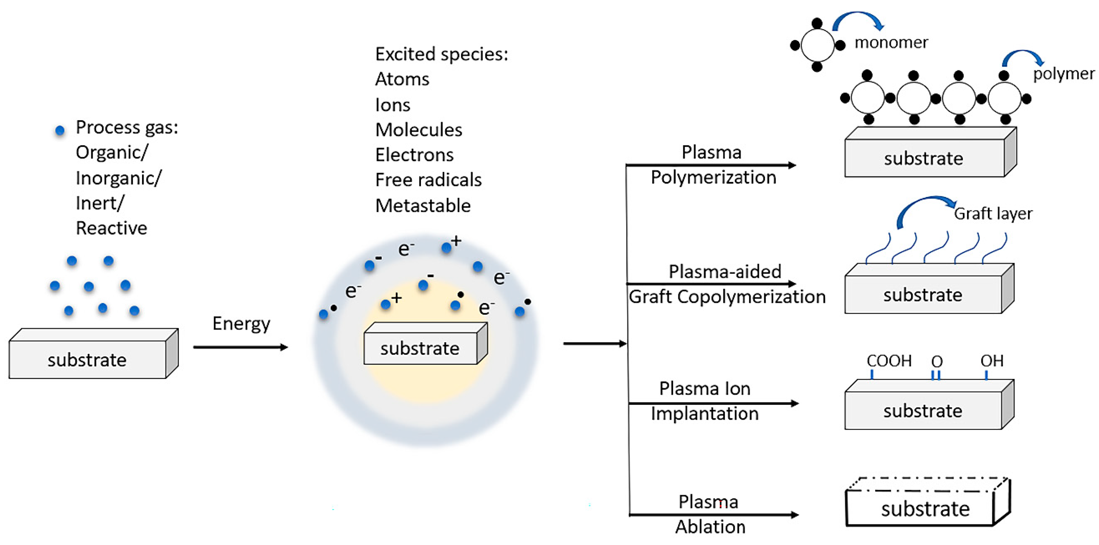 Polymers 15 00400 g002
