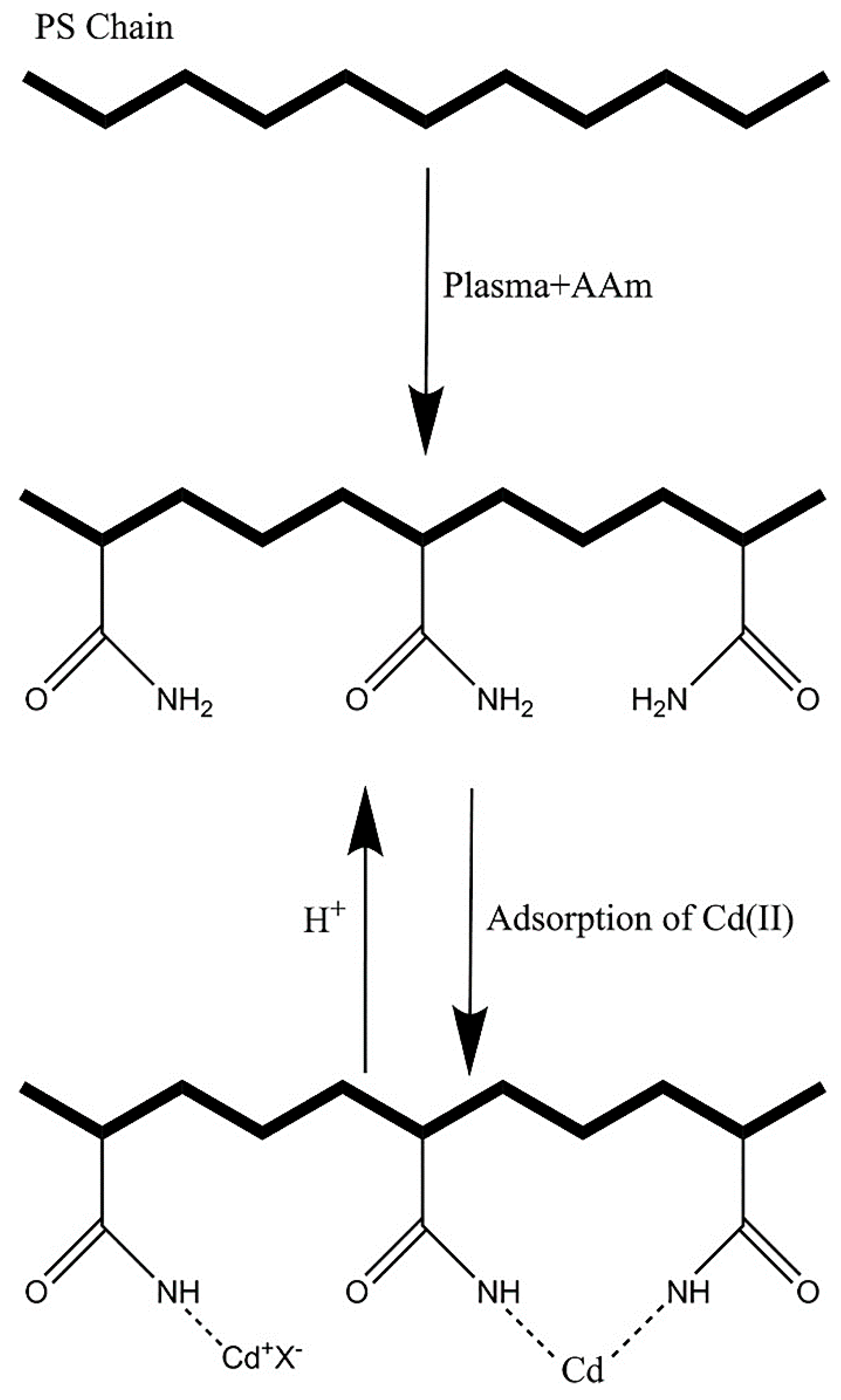 Polymers 15 00400 g005