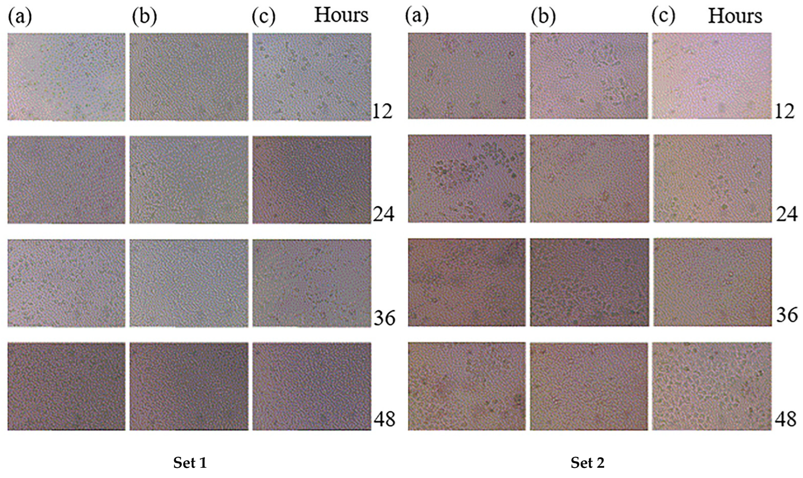 Polymers 15 00400 g006
