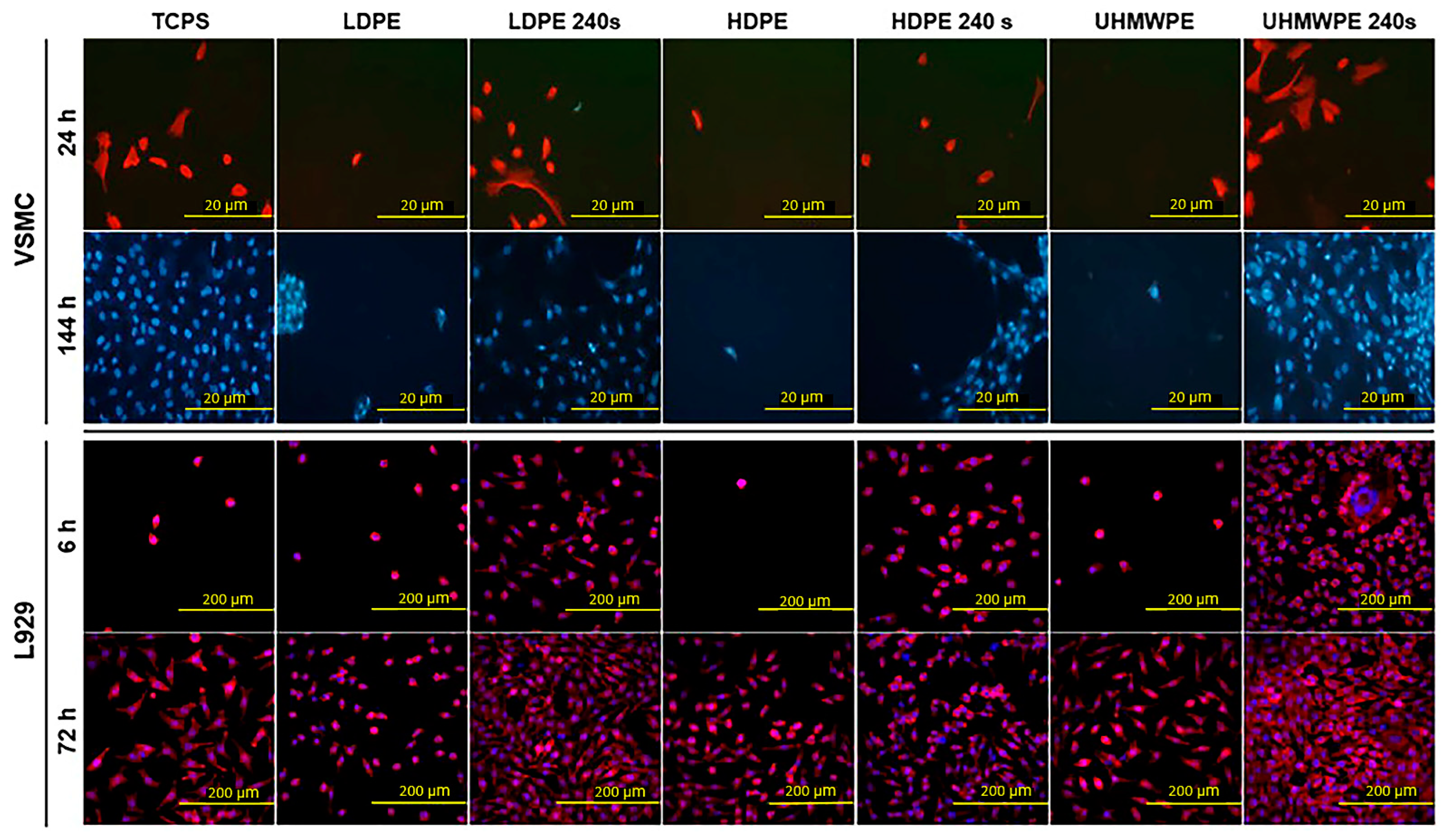 Polymers 15 00400 g007