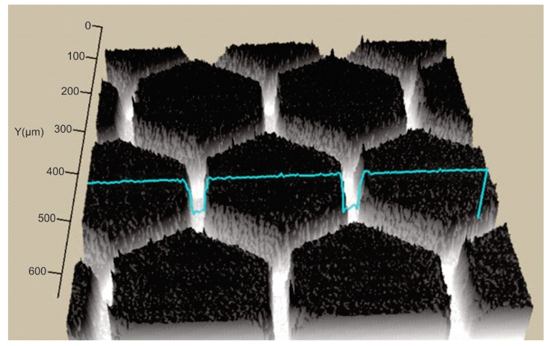 Polymers 15 00406 i007
