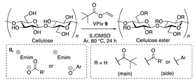 Polymers 15 00419 i001 Polymers 15 00419 i001