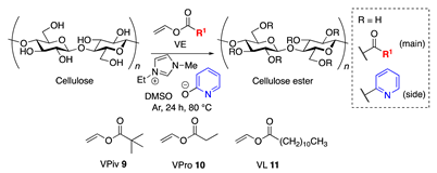 Polymers 15 00419 i002 Polymers 15 00419 i002