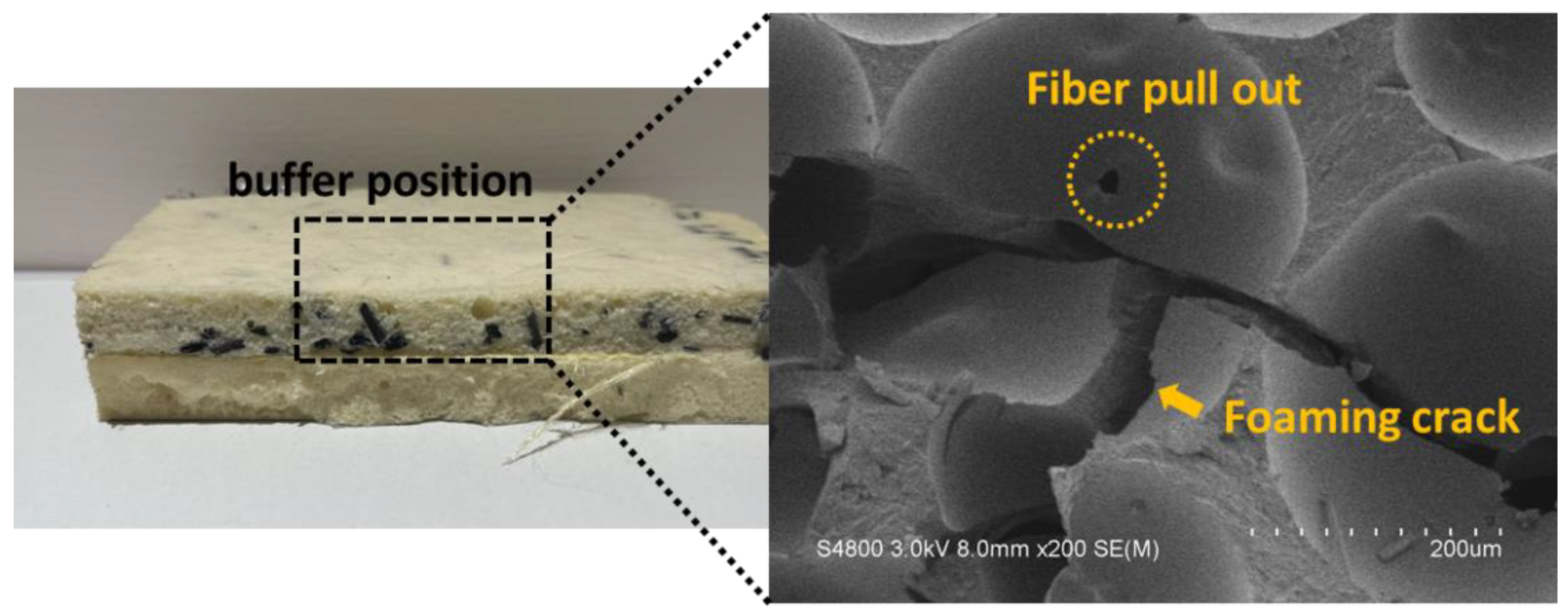 Polymers 15 00424 g004