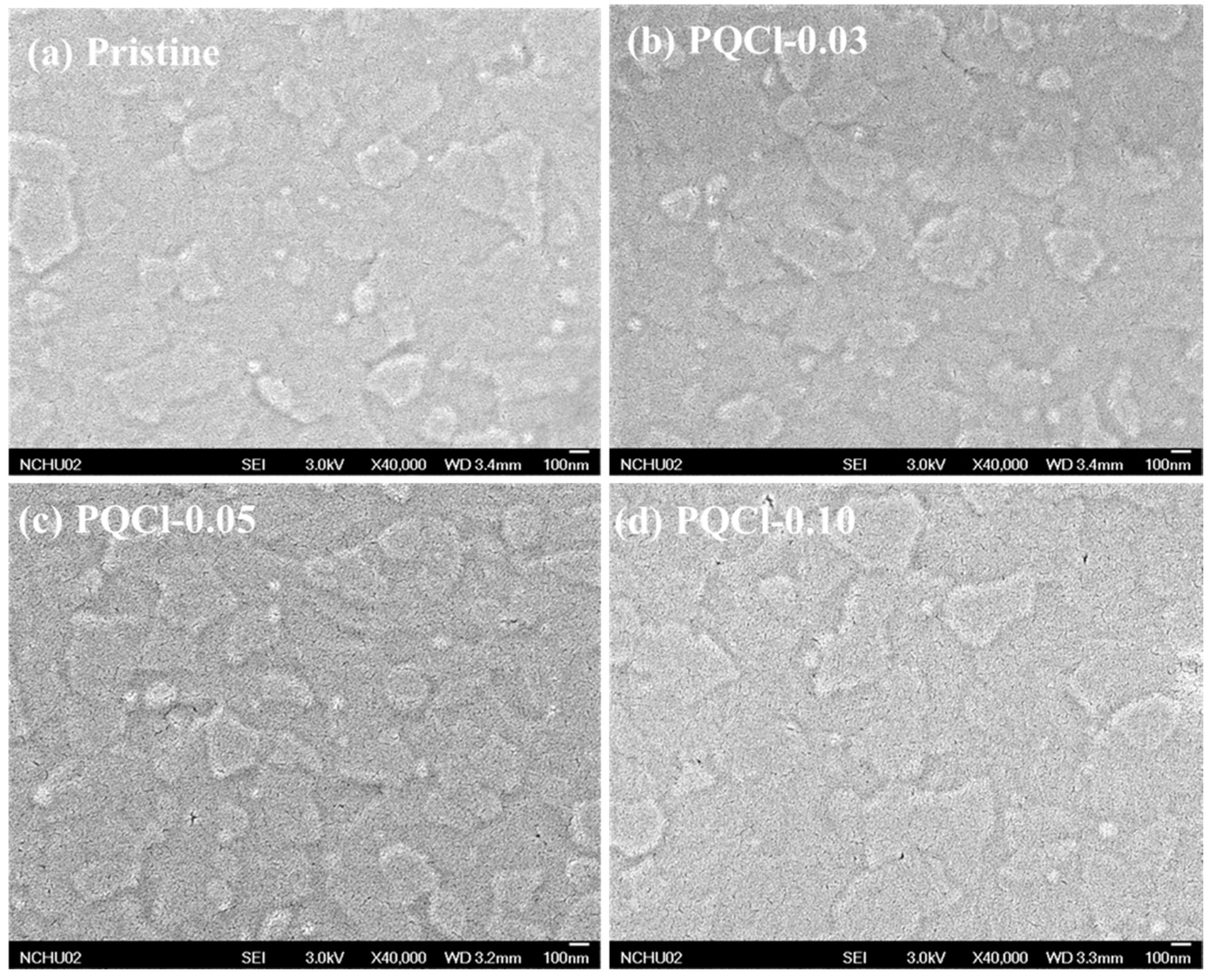 Polymers 15 00437 g002 Polymers 15 00437 g002