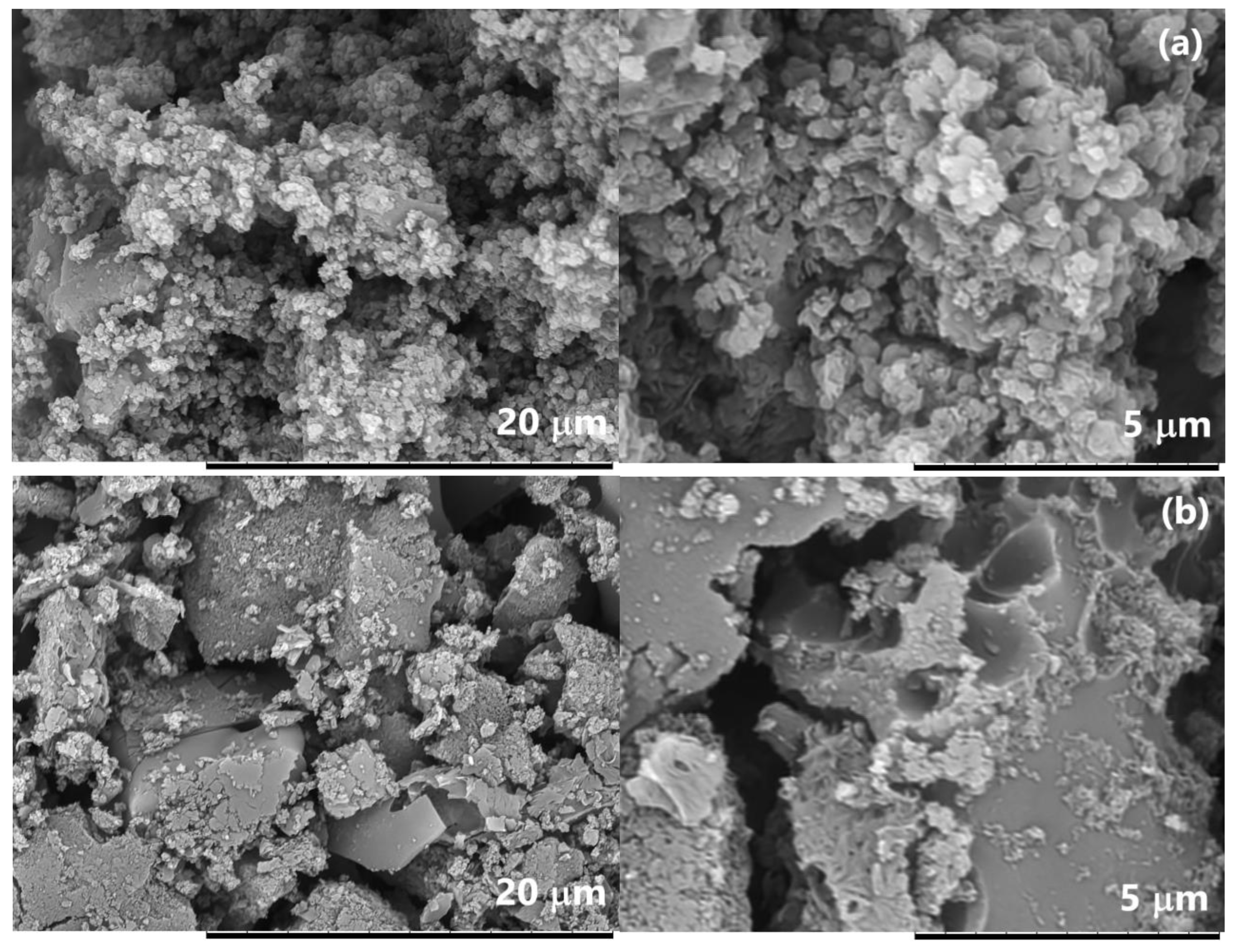 Polymers 15 00441 g010