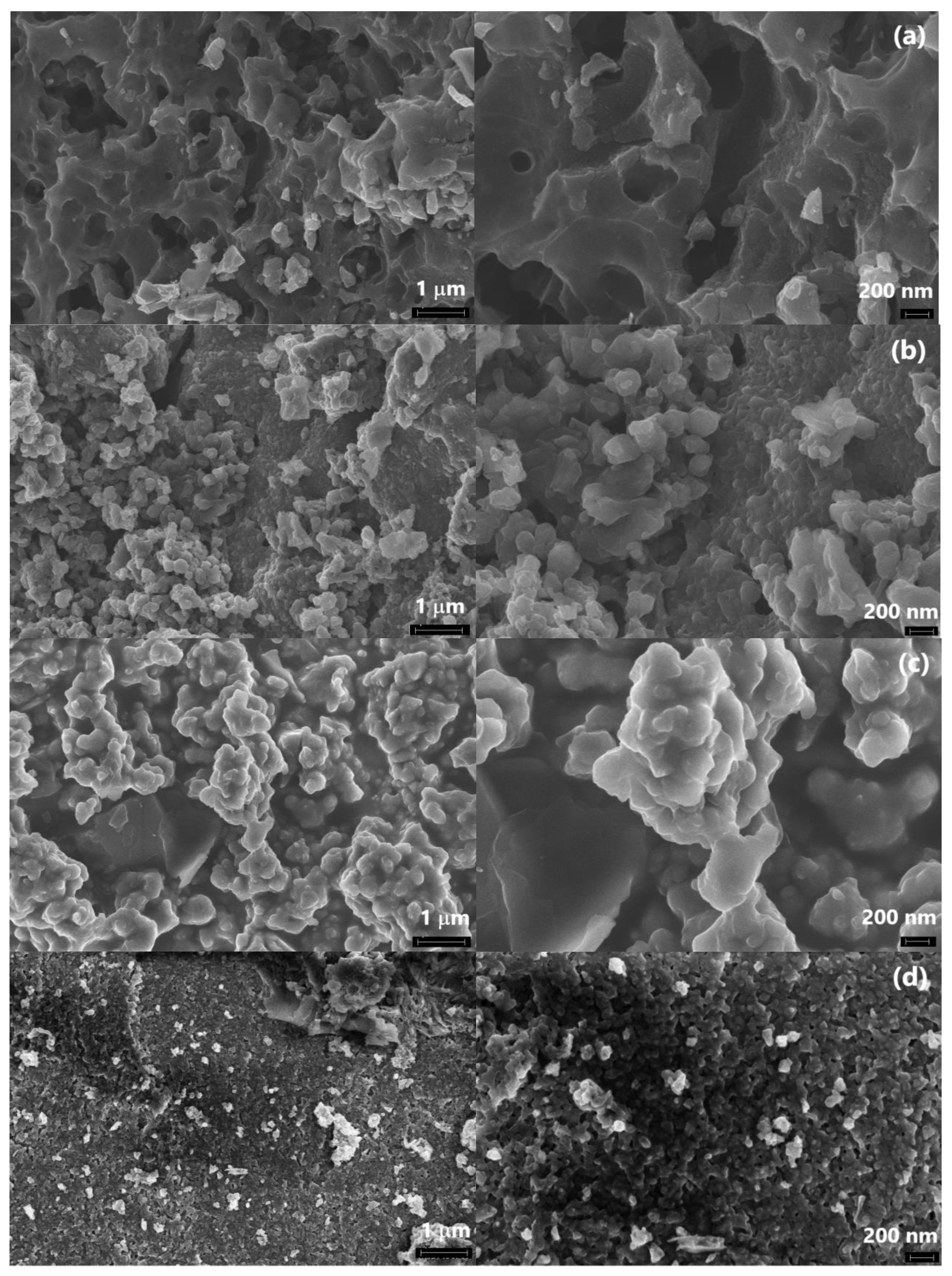 Polymers 15 00441 g011a