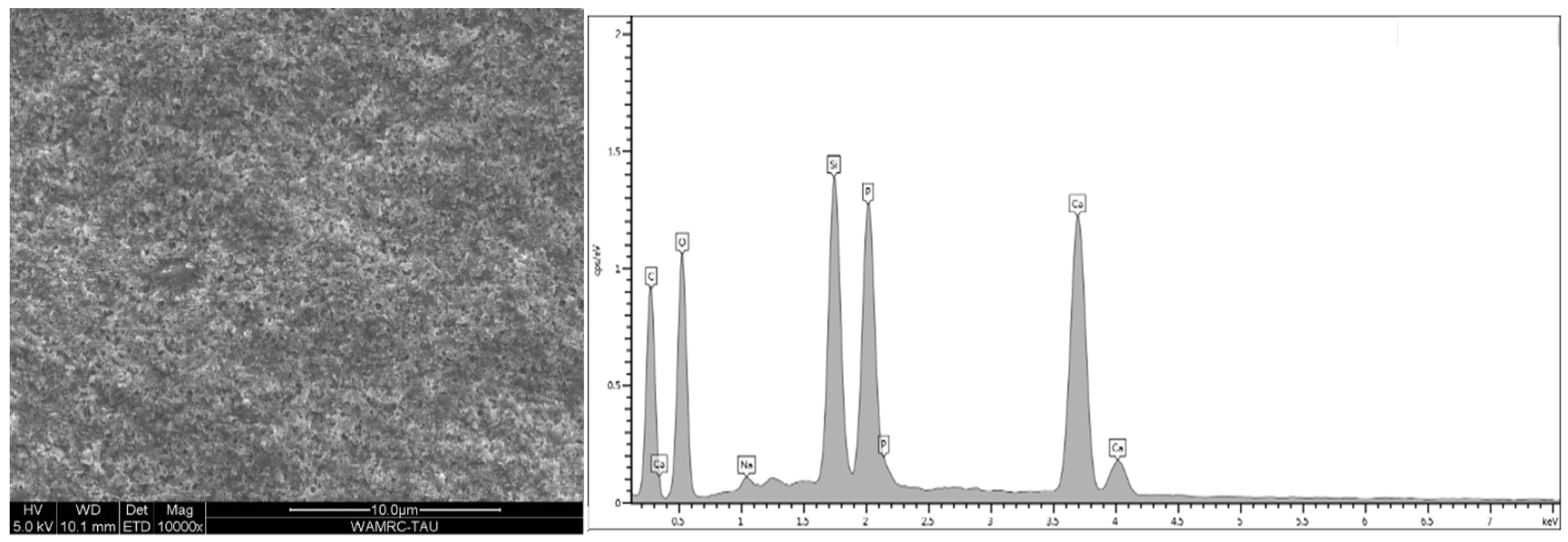 Polymers 15 00446 g011 Polymers 15 00446 g011