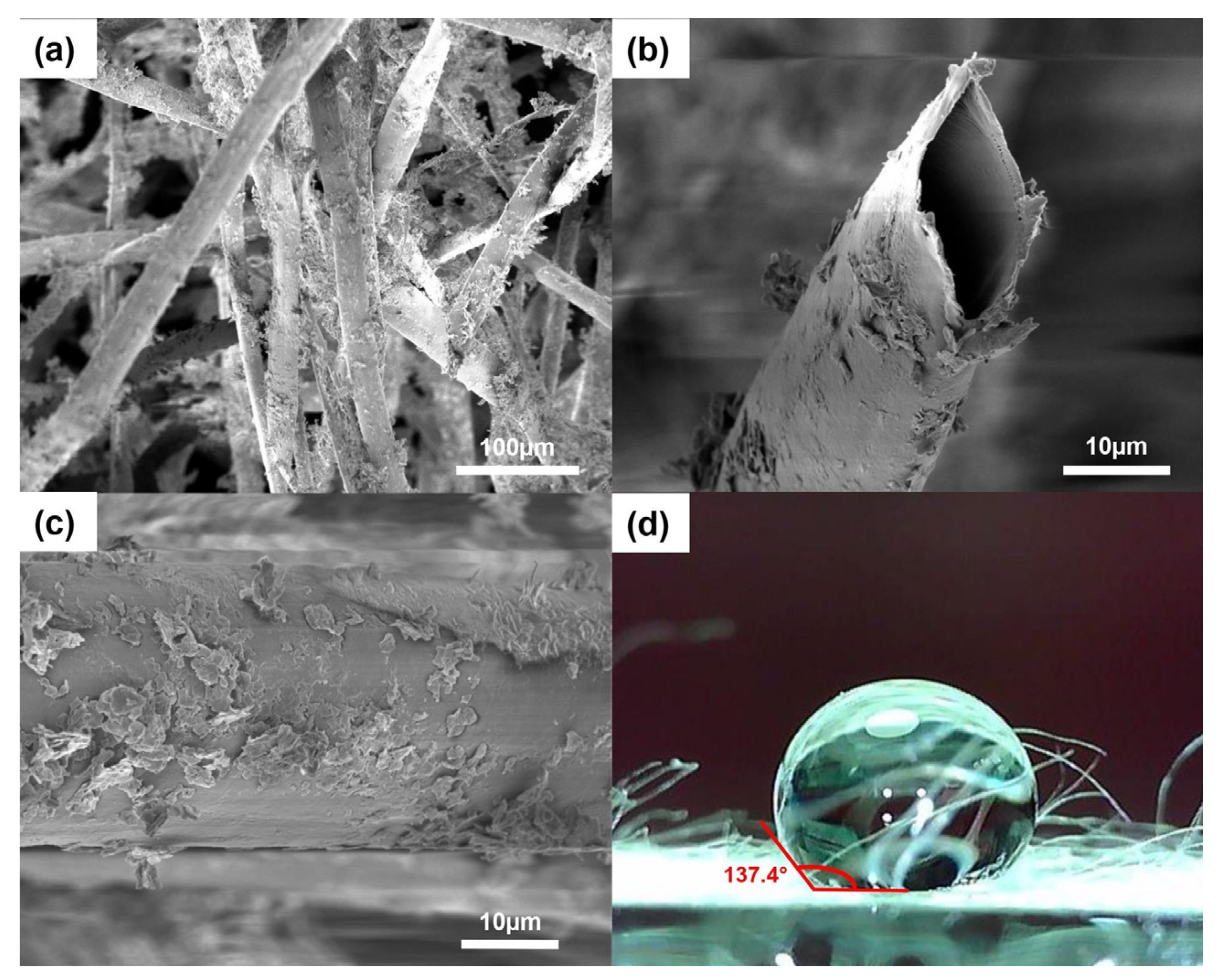 Polymers 15 00452 g001 Polymers 15 00452 g001