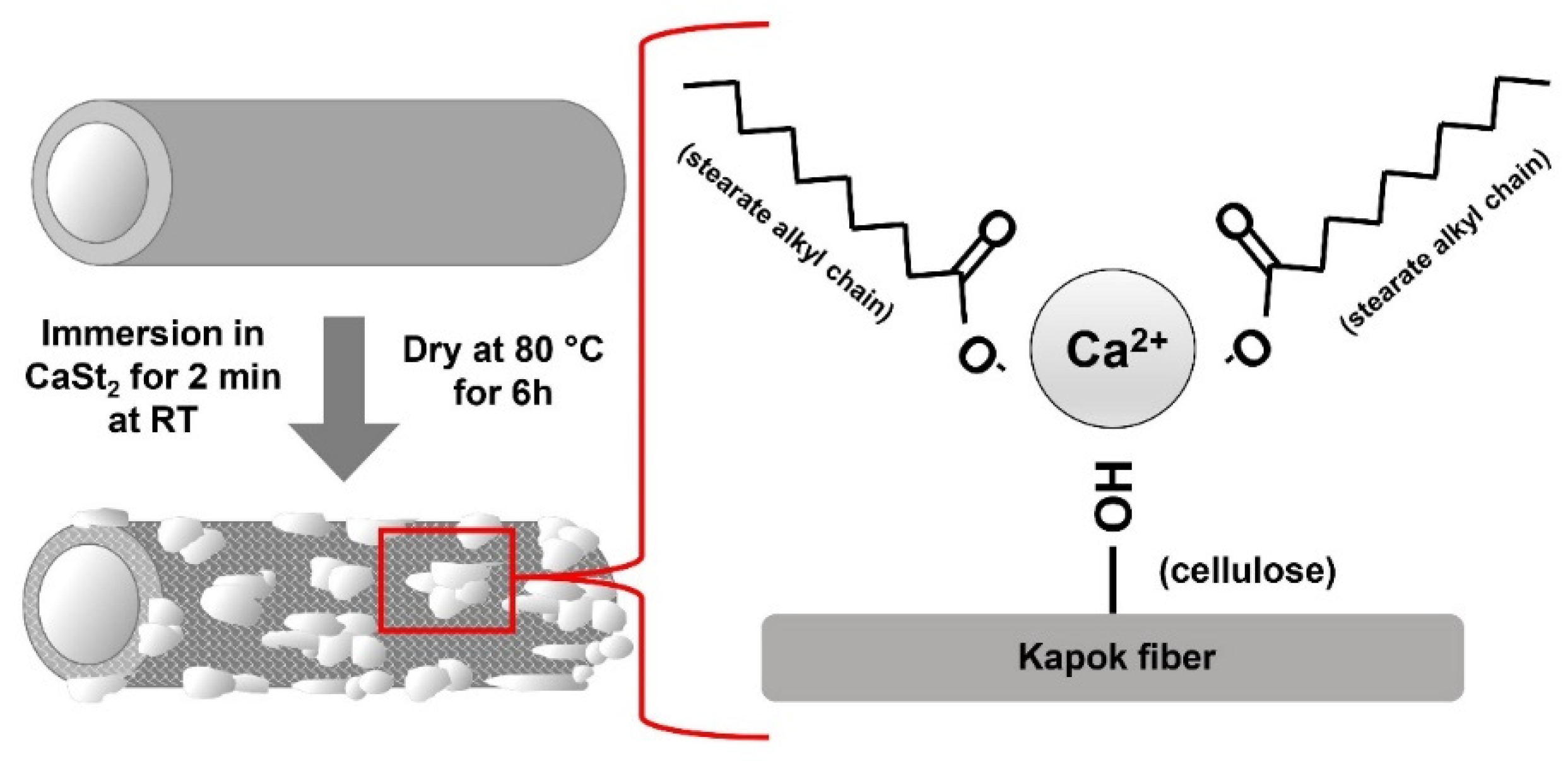 Polymers 15 00452 g005 Polymers 15 00452 g005