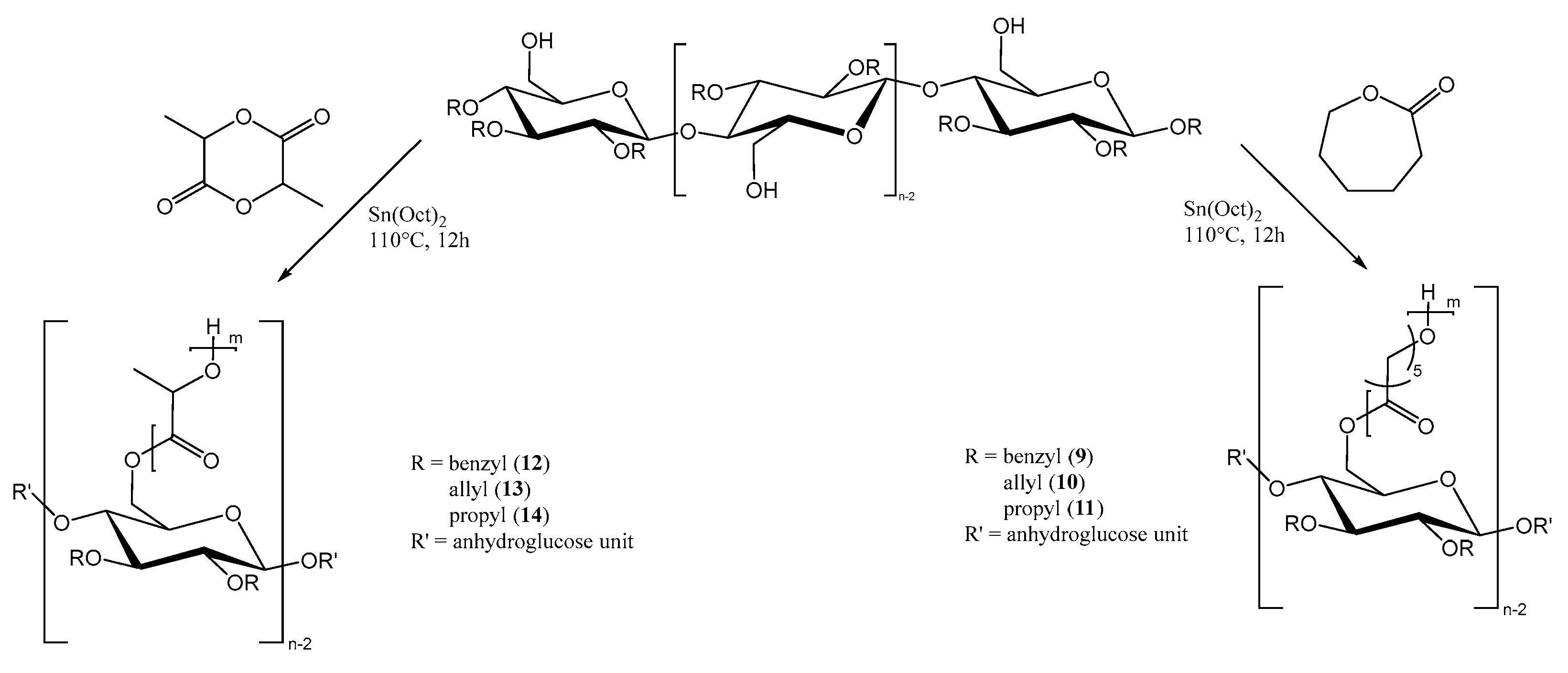 Polymers 15 00455 g002 Polymers 15 00455 g002