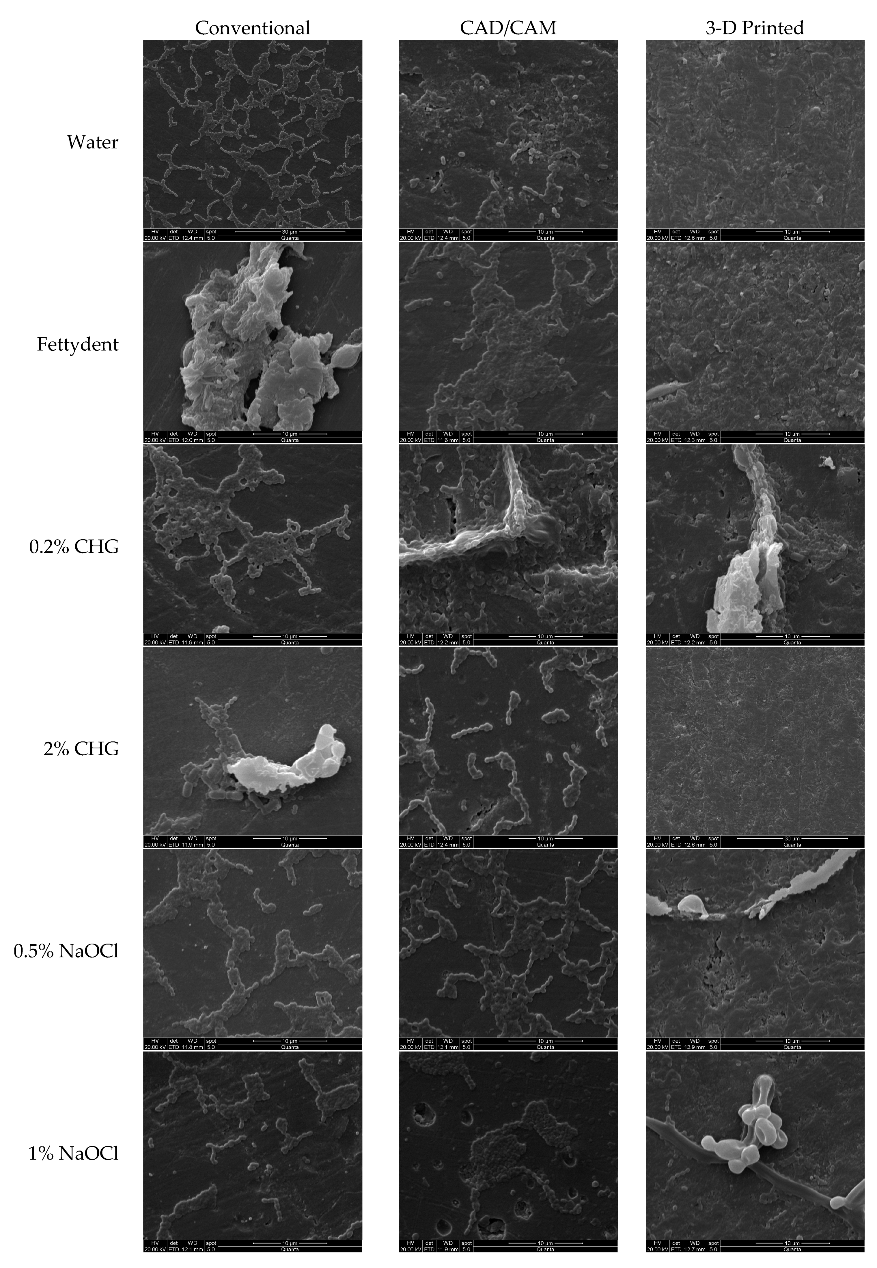 Polymers 15 00460 g004