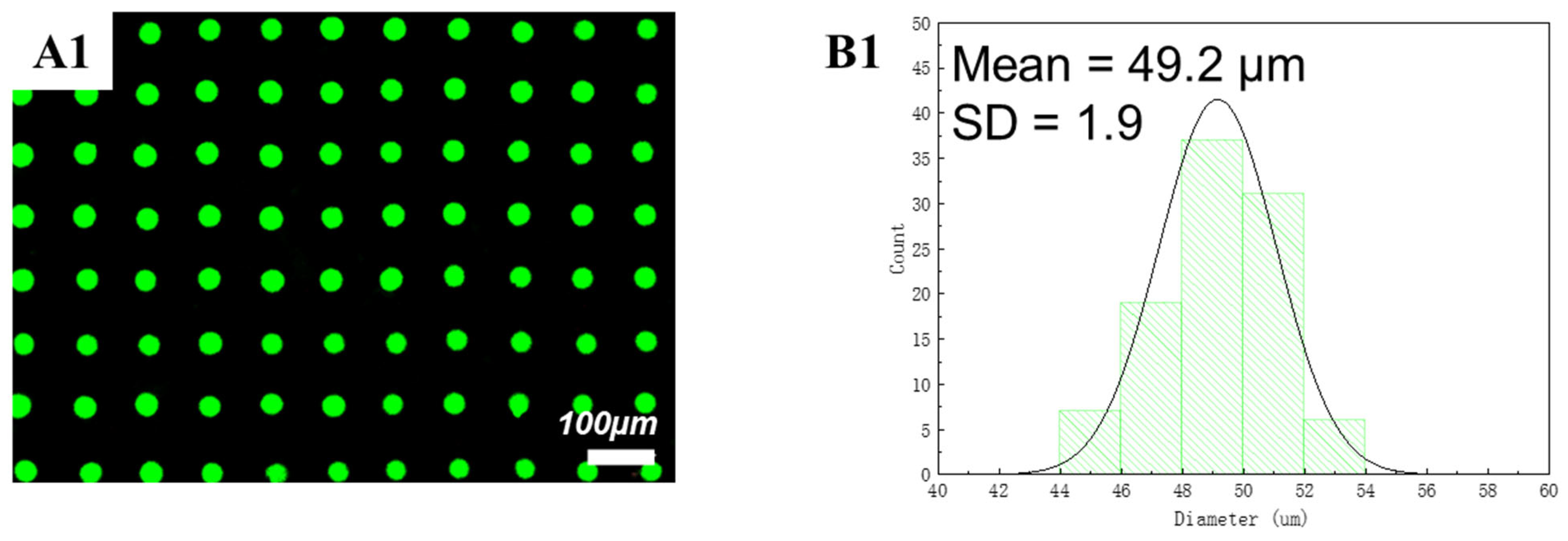 Polymers 15 00462 g008 Polymers 15 00462 g008