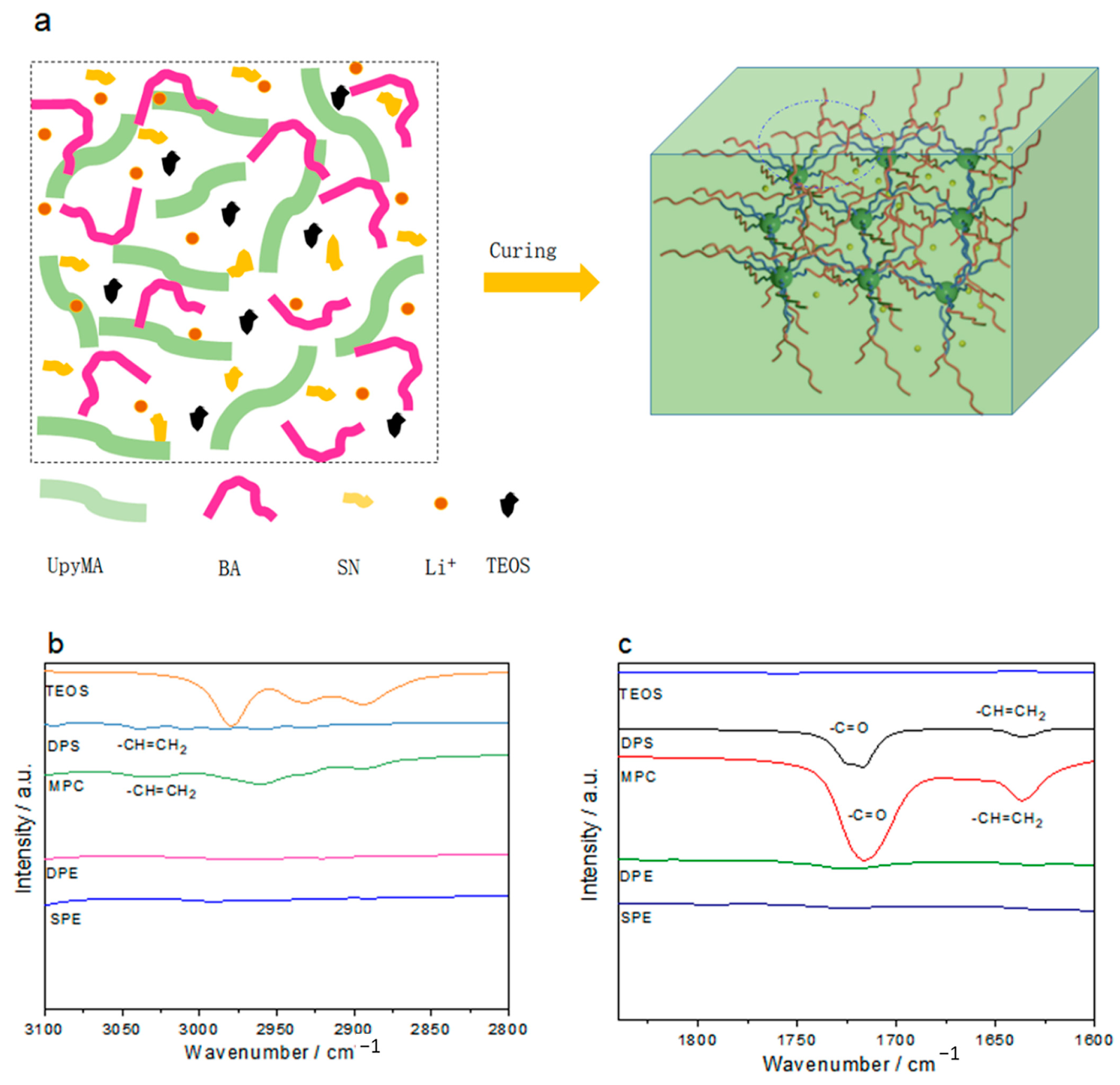 Polymers 15 00466 g001