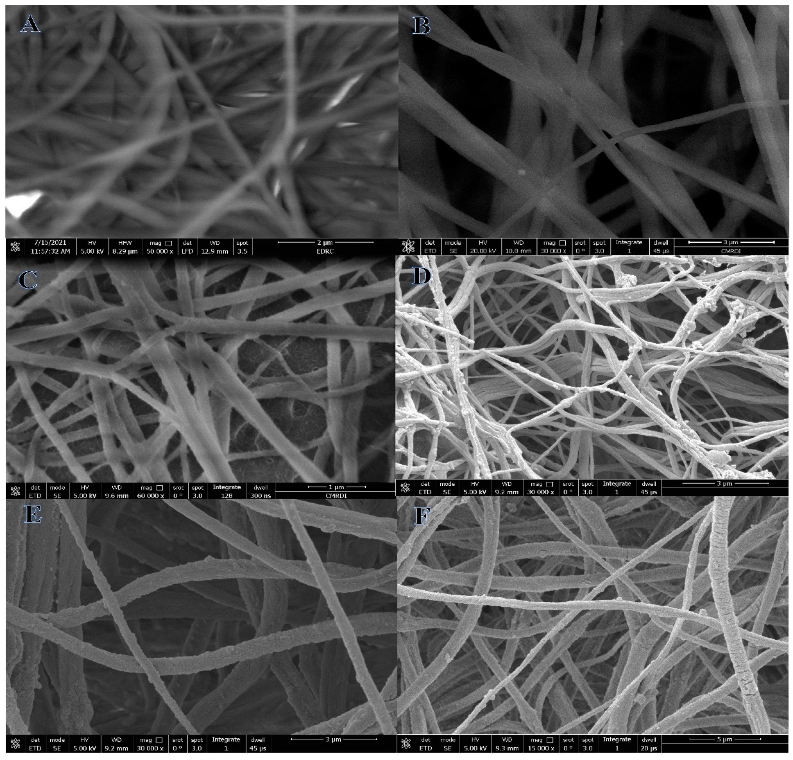 Polymers 15 00474 g001 Polymers 15 00474 g001