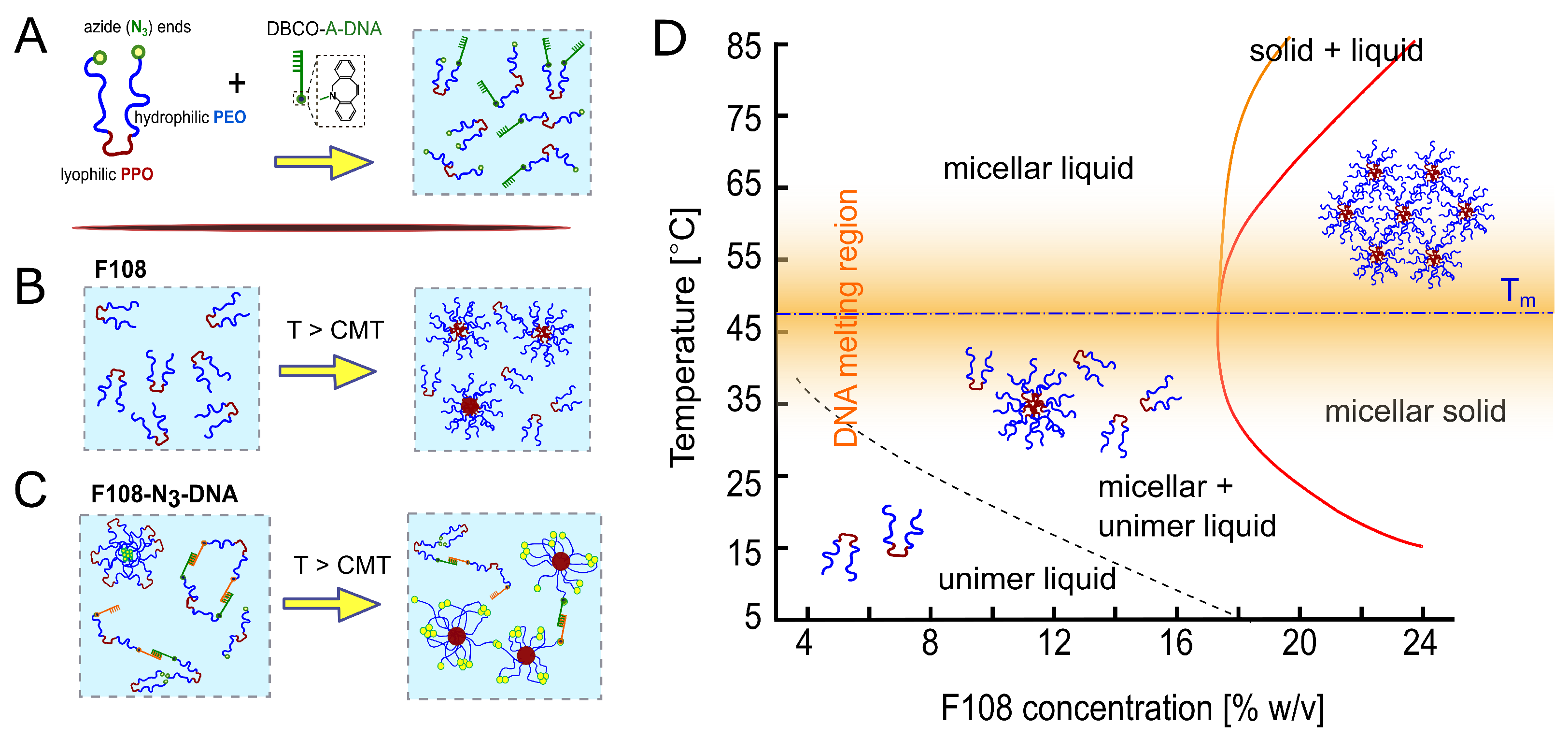 Polymers 15 00481 g001